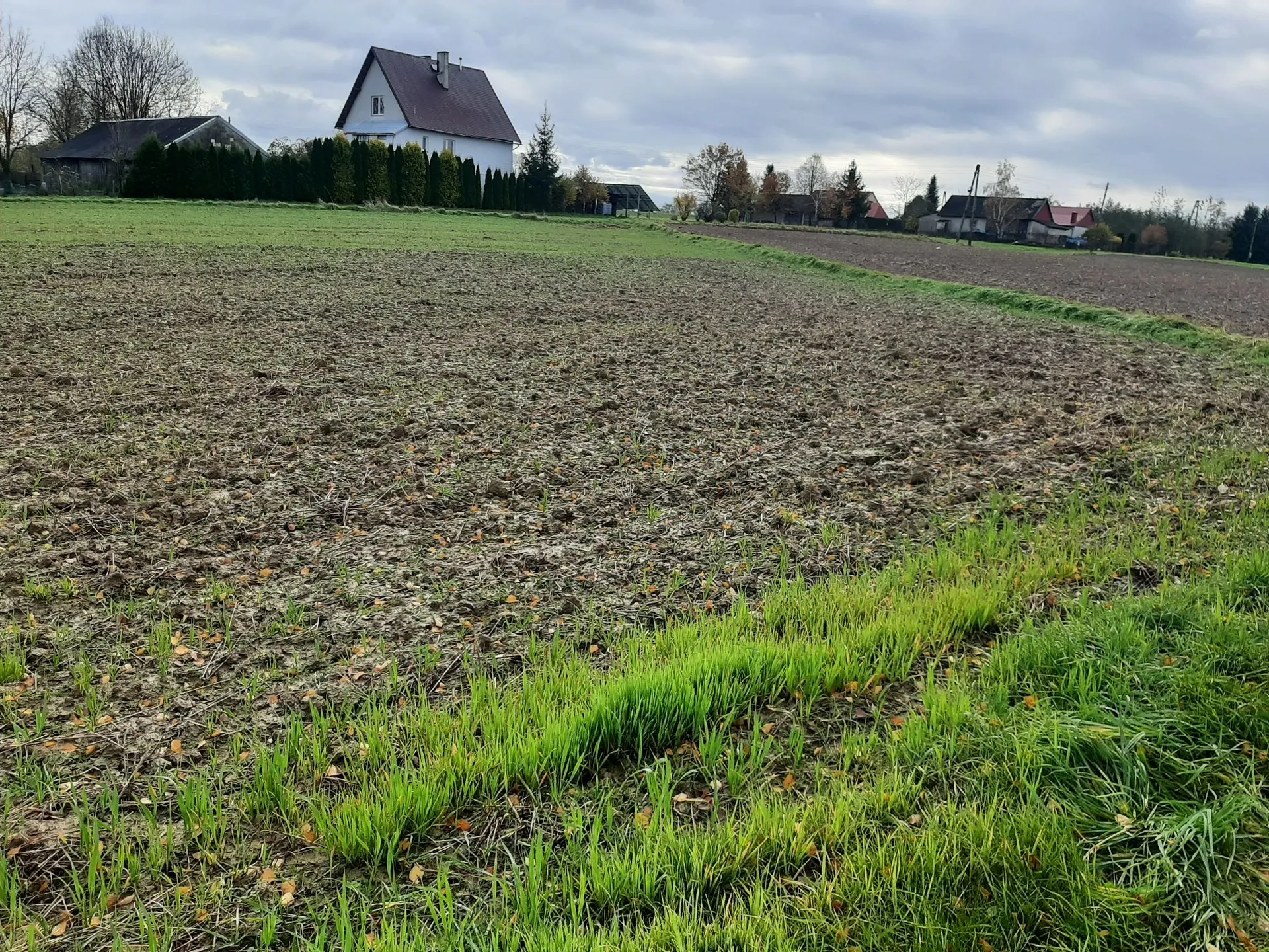 Krajobraz wiejski przedstawiający rozległe pole. Na pierwszym planie widać pas zielonej trawy, za którym rozciąga się obszar zaoranej, brązowej ziemi. W tle, na niewielkim wzniesieniu, znajduje się biały dom z ciemnym, spadzistym dachem oraz kilka innych budynków mieszkalnych i drzew pod zachmurzonym niebem.