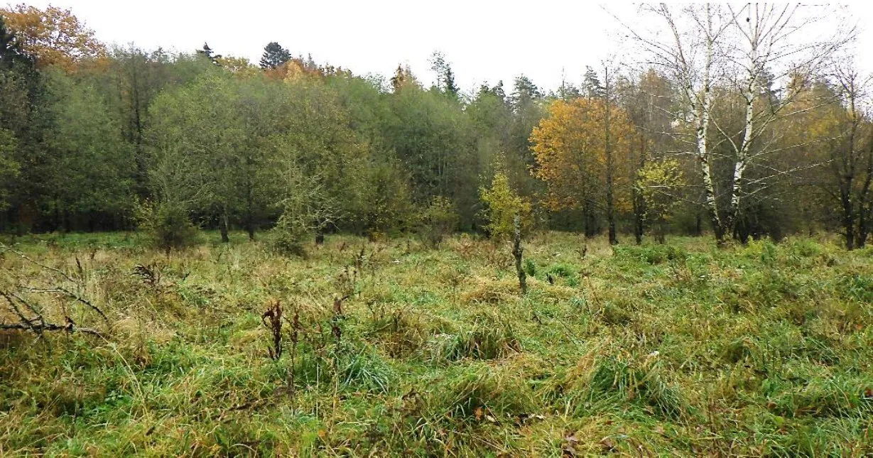 Grunt 145940 m² Gorczyce, Kowale Oleckie - zdjęcie 1