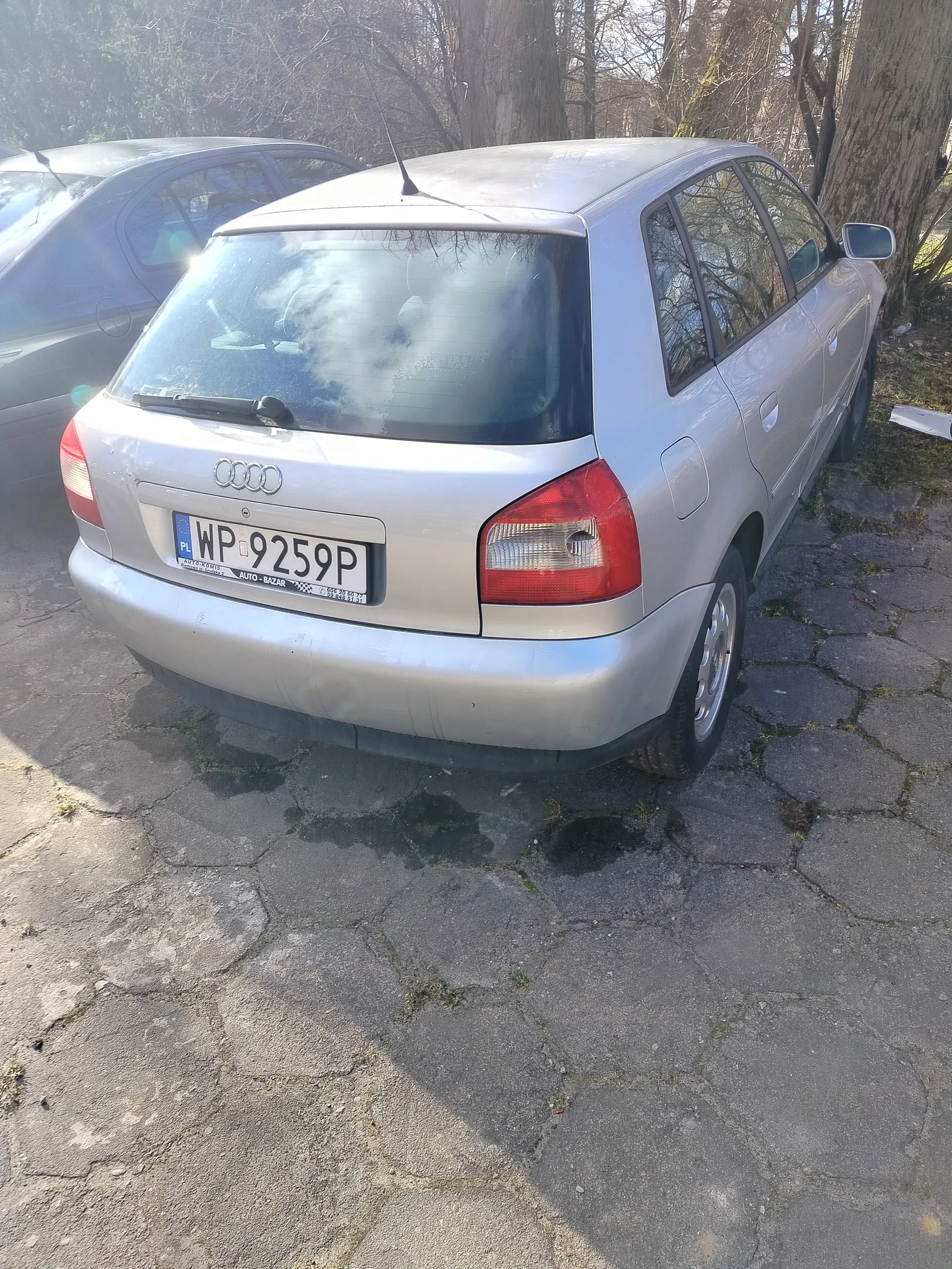 Srebrny samochód Audi z tyłu, z widoczną tablicą rejestracyjną WP 9259P z kodem PL oraz napisem AUTO-BAZAR pod nią. Po lewej stronie częściowo widoczny ciemny samochód. Tło stanowią drzewa bez liści i brukowana powierzchnia z pęknięciami i miejscami porośnięta mchem. Słońce oświetla scenę, powodując lekkie odblaski na tylnej szybie.