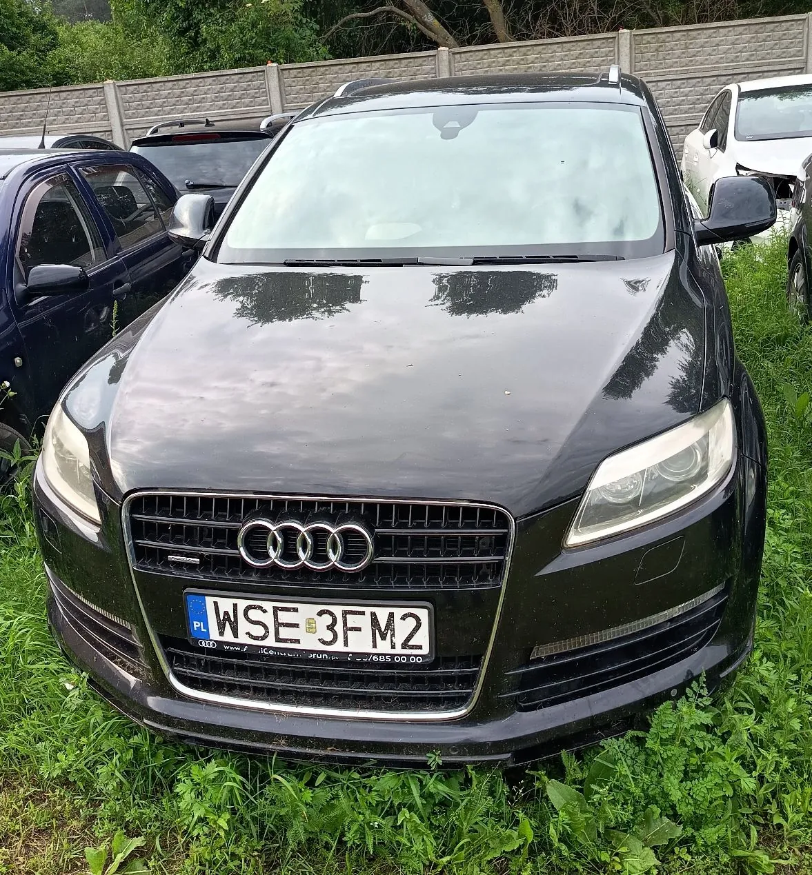 Czarny samochód marki Audi zaparkowany na trawie. Widoczny jest przód pojazdu z charakterystycznym grillem i logo czterech pierścieni. Samochód posiada polską tablicę rejestracyjną o numerze WSE 3FM2. W tle widać fragmenty innych samochodów oraz betonowy płot i zielone drzewa.