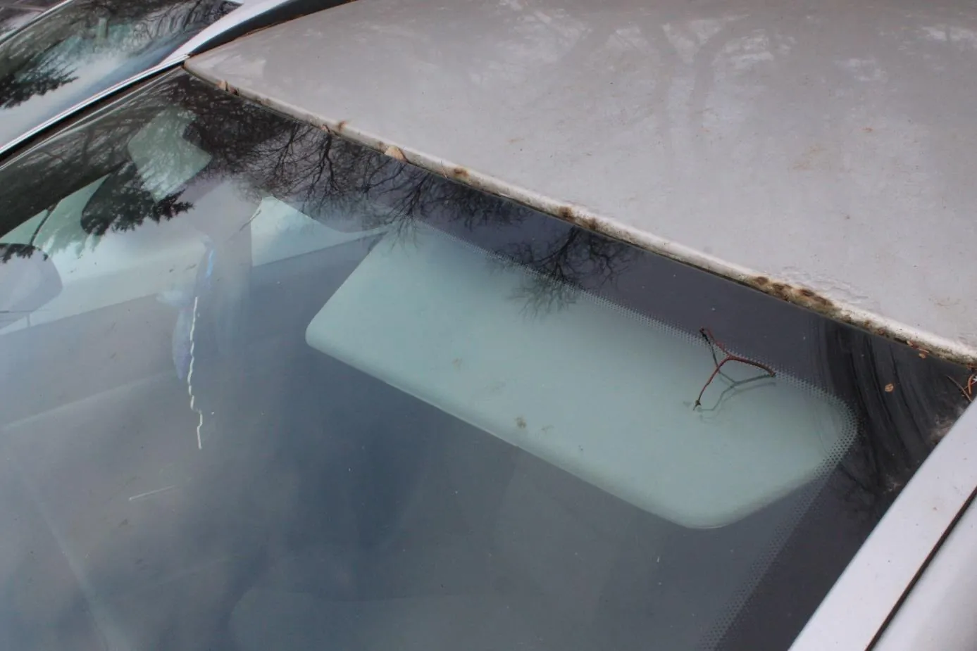 Zbliżenie na przednią szybę samochodu z widocznym daszkiem przeciwsłonecznym wewnątrz. Na szybie leży cienka, sucha gałązka. Widoczna jest również część kapoty z plamami rdzy wzdłuż krawędzi. W odbiciu na szybie widać nagie drzewa i fragment innego pojazdu. Wnętrze samochodu jest częściowo widoczne, ale bez czytelnego tekstu.