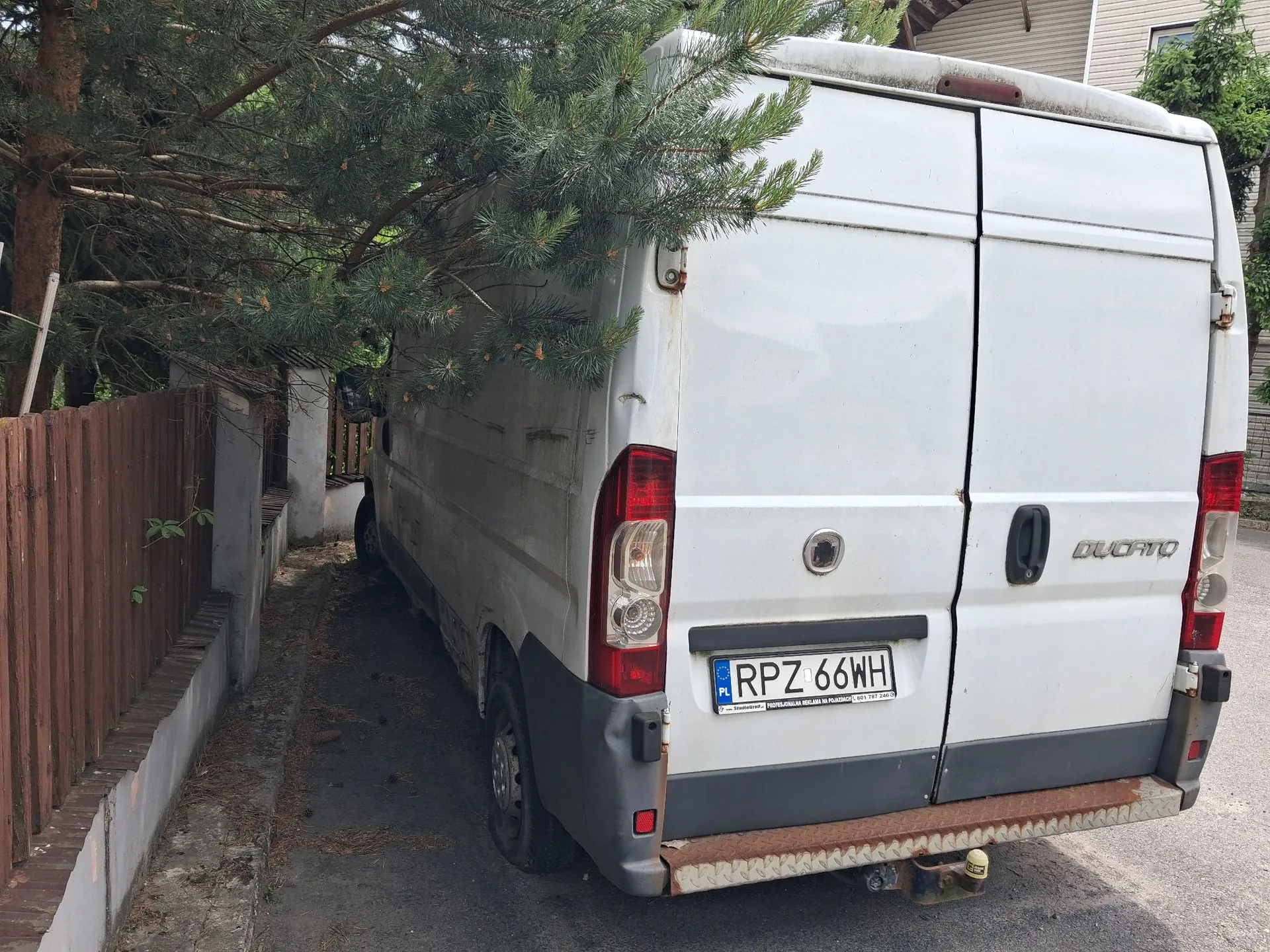 Tylny widok białego vana marki Fiat Ducato zaparkowanego na podjeździe obok drewnianego ogrodzenia i drzewa iglastego. Pojazd ma polską tablicę rejestracyjną o numerze RPZ 66WH. Na tylnych drzwiach widnieje napis DUCATO.