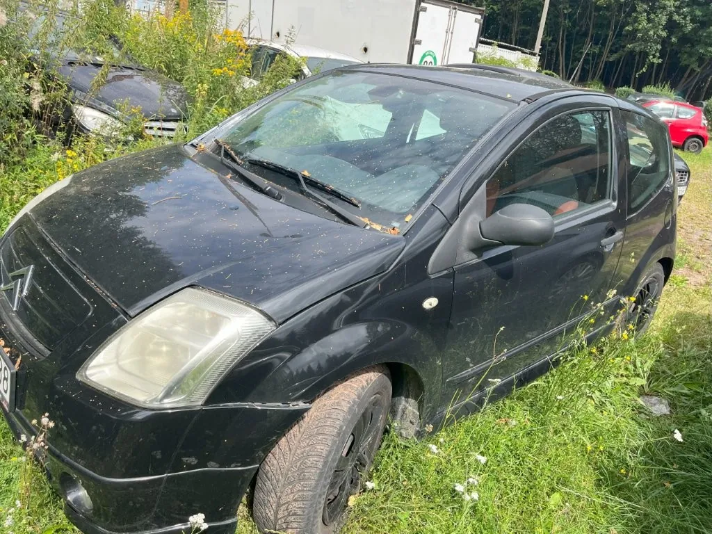 Czarny samochód osobowy marki Citroën zaparkowany w wysokiej trawie. Pojazd jest zakurzony i posiada widoczne zanieczyszczenia na masce. W tle widoczne są inne samochody, zielona roślinność oraz biała naczepa ciężarówki.