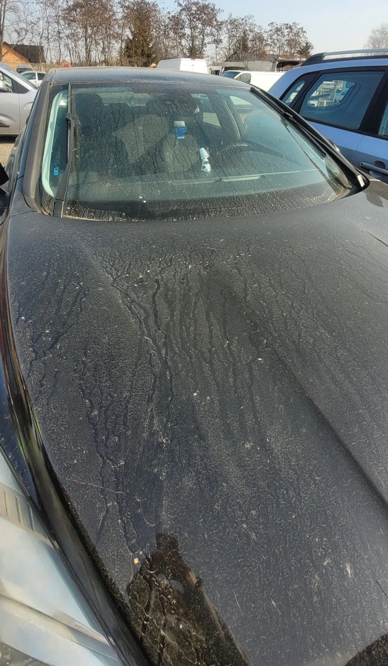 Czarny samochód z brudną maską i przednią szybą pokrytą plamami. Wewnątrz pojazdu widoczne są przedmioty na desce rozdzielczej: niebieski przedmiot i biała butelka. W tle stoją inne samochody (srebrny i niebieski SUV), drzewa bez liści oraz budynki. Na masce odbija się sylwetka osoby robiącej zdjęcie.