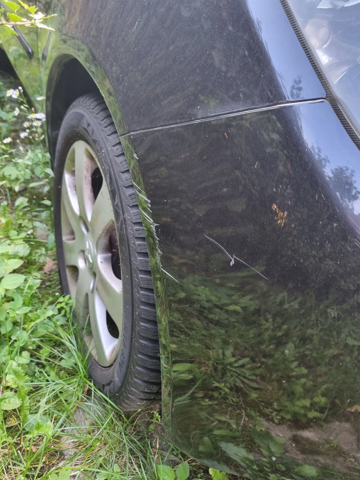 Zbliżenie na przedni prawy błotnik czarnego samochodu. Na lakierze widoczne są zarysowania i odpryski w pobliżu krawędzi nadkola. W kadrze znajduje się również fragment koła z aluminianą felgą oraz zielona trawa w tle.