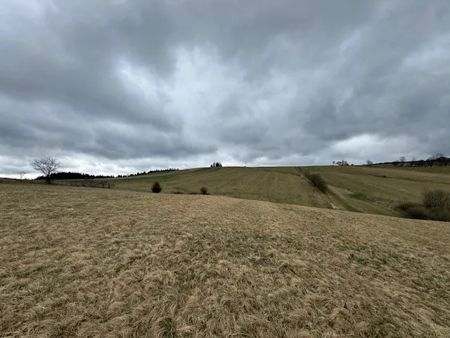 Rozległe pola trawiaste z suchą trawą, rozciągające się na wzgórzach. W tle widoczne są leśne pasma i pojedyncze drzewa. Niebo pokryte gęstymi, szarymi chmurami. Krajobraz wiejski bez widocznych budynków lub osób.