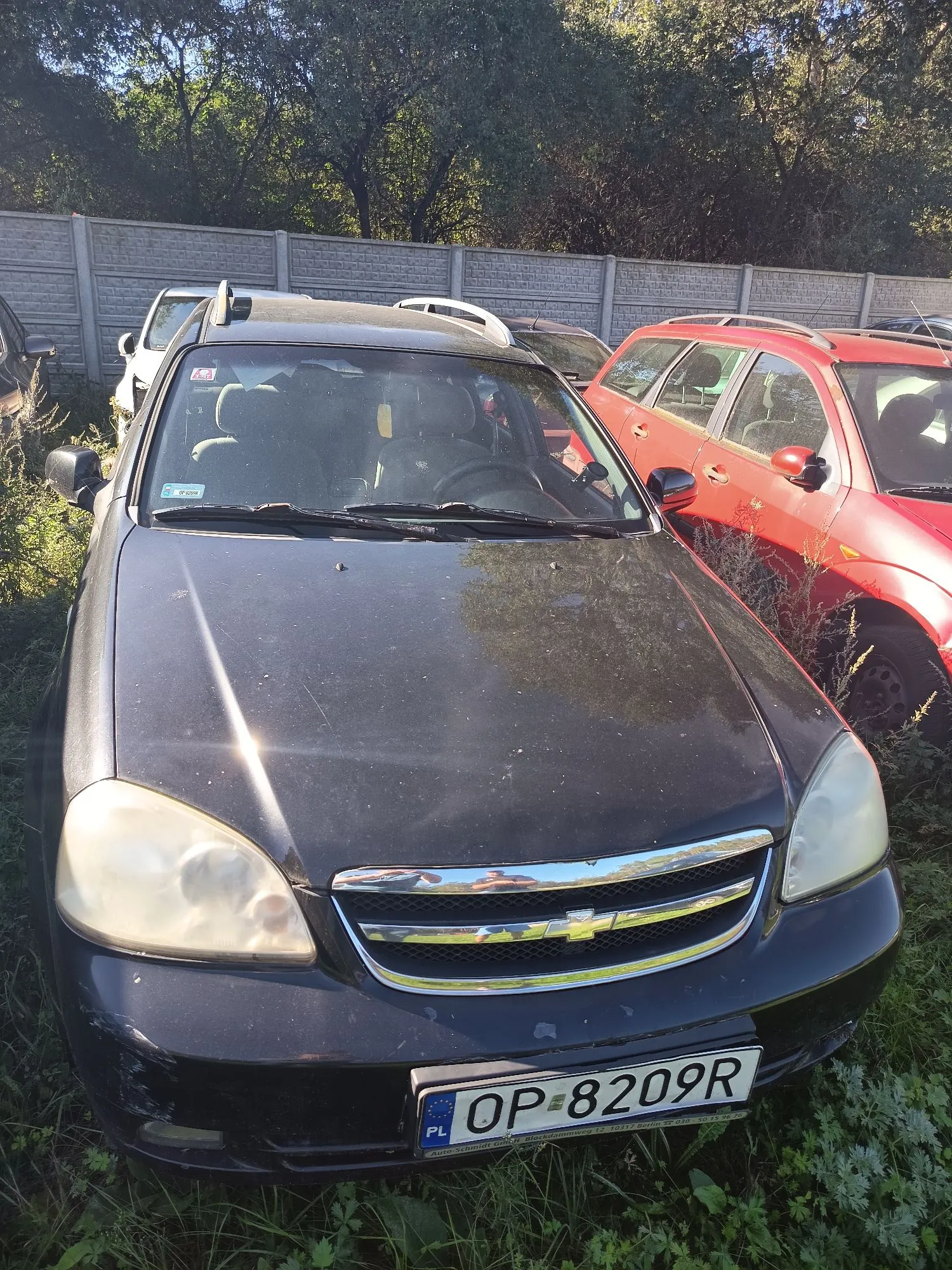 Czarny samochód marki Chevrolet zaparkowany na trawie. Widoczna jest przednia część pojazdu z tablicą rejestracyjną o numerze OP 8209R. W tle widać czerwony samochód oraz szary betonowy płot i drzewa.