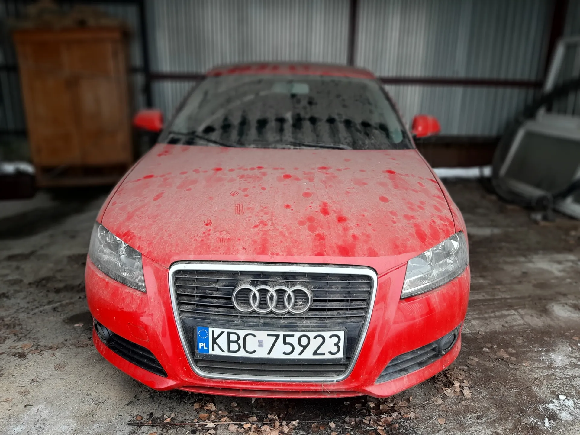 Czerwony samochód marki Audi z przodu, pokryty czerwonymi plamami na maskie. Widoczna tablica rejestracyjna z napisem KBC 75923 oraz niebieskim polskim znakiem PL. Tło stanowi metalowa ściana, drewniana szafa po lewej stronie i stary telewizor po prawej. Podłoga z betonu z rozsypanymi liśćmi.