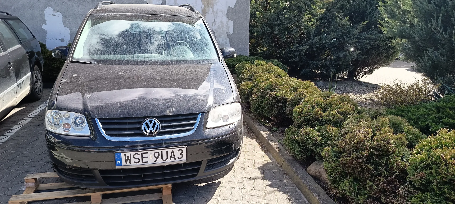 Czarny samochód Volkswagen z tablicą rejestracyjną WSE 9UA3 (PL) zaparkowany na drewnianych paletach na brukowanej powierzchni. Po lewej stronie częściowo widoczny szary samochód. Tło: zniszczona, łuszcząca się ściana oraz zielone krzewy i drzewa. Samochód pokryty kurzem.