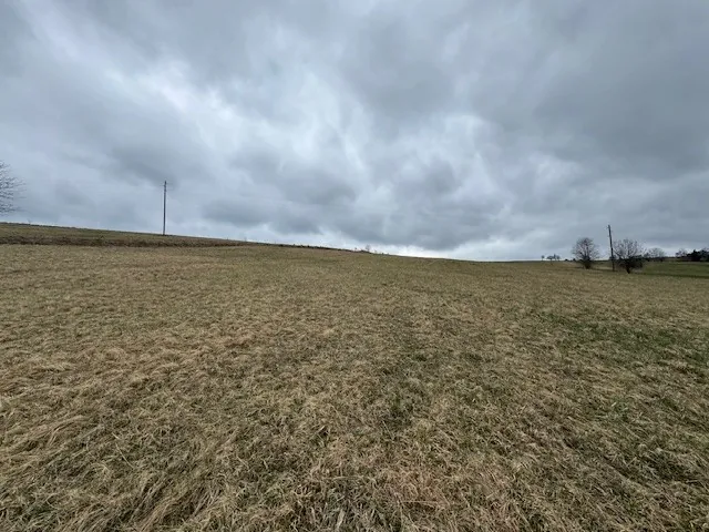 Rozległe pole z suchą trawą pod zachmurzonym niebem. W oddali widoczne są słupy energetyczne, kilka drzew oraz niewielkie budynki. Horyzont jest wyraźny, a chmury pokrywają całe niebo.