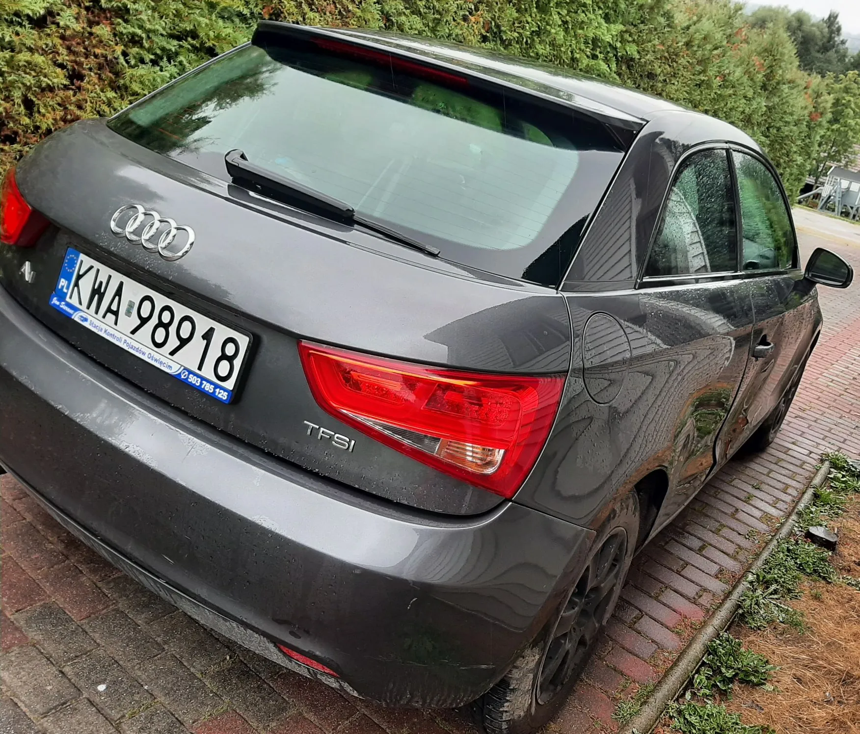 Tylny widok szarego samochodu marki Audi z polską tablicą rejestracyjną o numerze KWA 98918. Na klapie bagażnika widoczne jest logo Audi oraz oznaczenie modelu TFSI. Samochód zaparkowany jest na kostce brukowej obok zielonego żywopłotu.