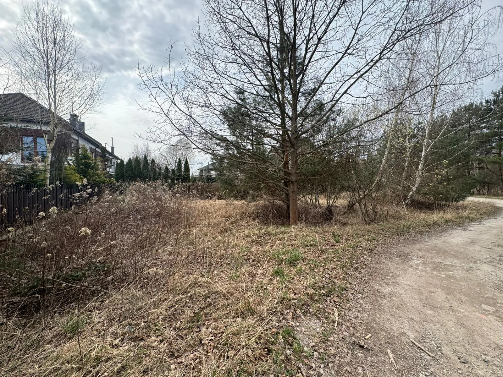 Krajobraz wczesnowiosenny z nieutwardzoną, piaszczystą drogą prowadzącą w prawą stronę kadru. Po lewej stronie znajduje się obszar z suchą, brązową trawą i niskimi krzewami, za którymi widać ciemny płot i fragmenty domów jednorodzinnych. W centrum i w tle rosną bezlistne drzewa o gęstych gałęziach oraz kilka zielonych sosen. Niebo jest zachmurzone i jasne.