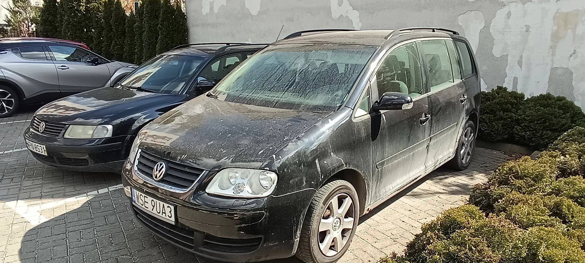 Trzy zaparkowane samochody na brukowanym parkingu. Na pierwszym planie czarny Volkswagen kombi z tablicą rejestracyjną WSE 9UA3, pokryty kurzem. Za nim czarny Volkswagen sedan z częściowo widoczną tablicą W1853 i srebrny SUV. Tło: betonowa ściana z obłupioną farbą, zielone krzewy i drzewa. Parkowanie oznaczone białymi liniami.