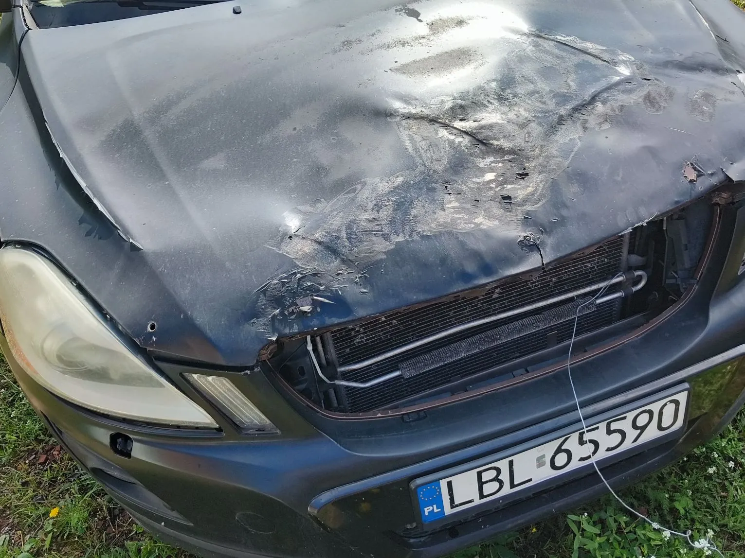 Zbliżenie na przód ciemnoniebieskiego samochodu z poważnymi uszkodzeniami maski, która jest mocno wgnieciona i porysowana. Widoczny jest fragment chłodnicy oraz polska tablica rejestracyjna o numerze LBL 65590.
