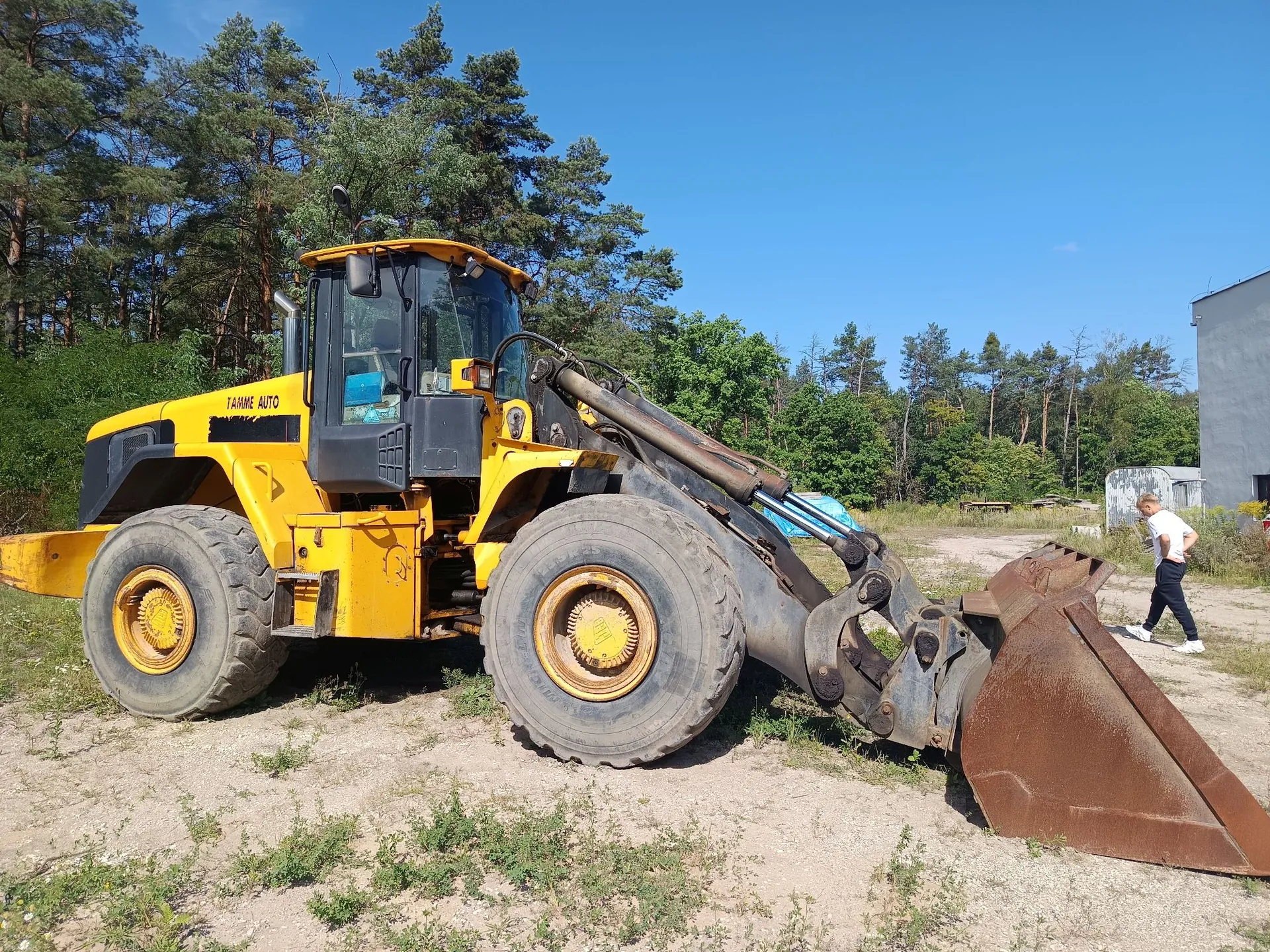 Żółta ładowarka kołowa marki Yamme Auto zaparkowana na piaszczystym terenie. Maszyna posiada duży czerpak opuszczony na ziemię. W tle widoczny jest las sosnowy pod bezchmurnym, niebieskim niebem. Po prawej stronie obrazu widać idącego mężczyznę w białej koszulce i ciemnych spodniach oraz fragment szarego budynku.