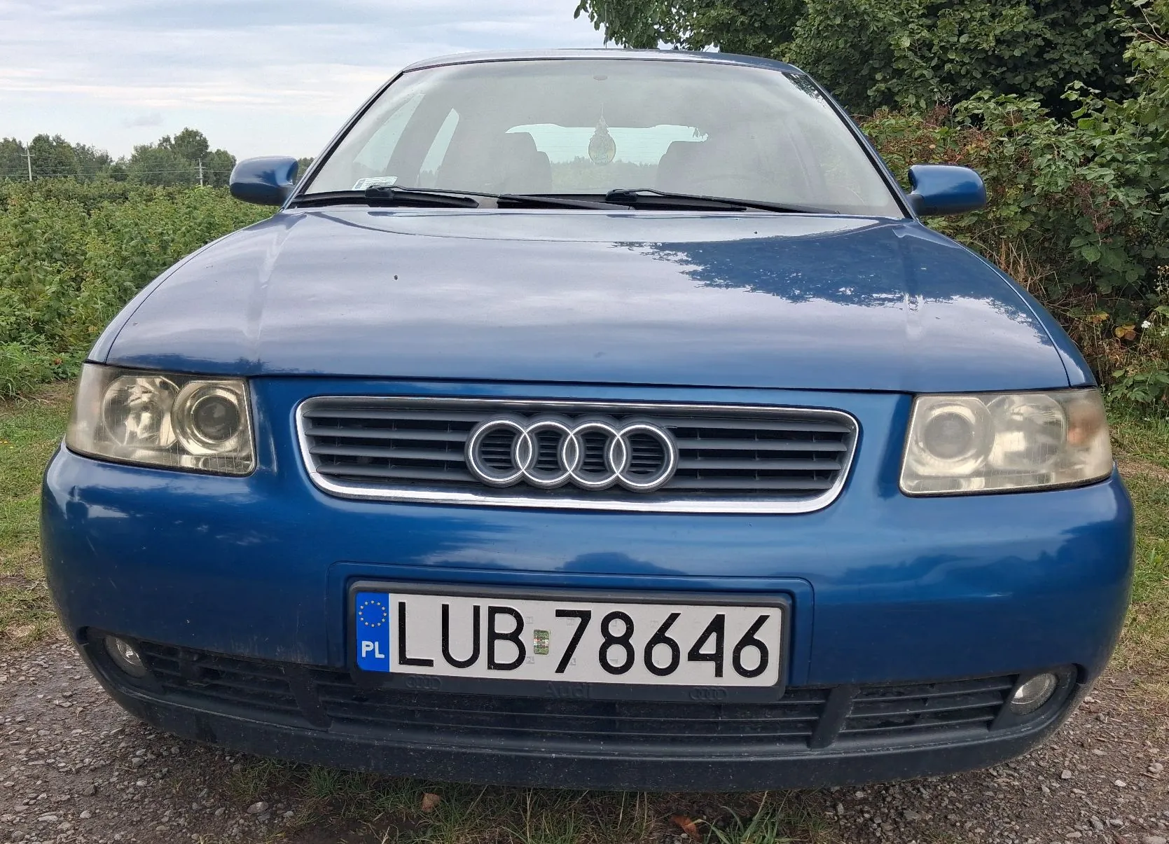 Niebieski samochód marki Audi widziany od przodu. Na grillu znajduje się charakterystyczne logo z czterema pierścieniami. Pojazd posiada polską tablicę rejestracyjną o numerze LUB 78646. Samochód stoi na żwirowym podłożu na tle zielonych krzewów i drzew.