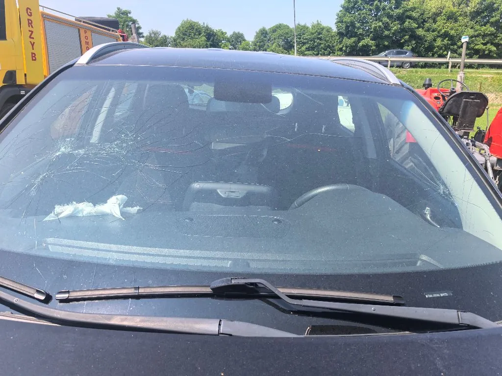 Widok z przodu na czarną maskę i przednią szybę samochodu. Szyba jest mocno rozbita w lewej górnej części, z widocznymi pęknięciami rozchodzącymi się promieniście. Na szybie leży biały fragment materiału lub folii. W tle widoczny jest fragment żółtego pojazdu z napisem 'GRZYB' oraz zielone drzewa pod jasnym niebem.