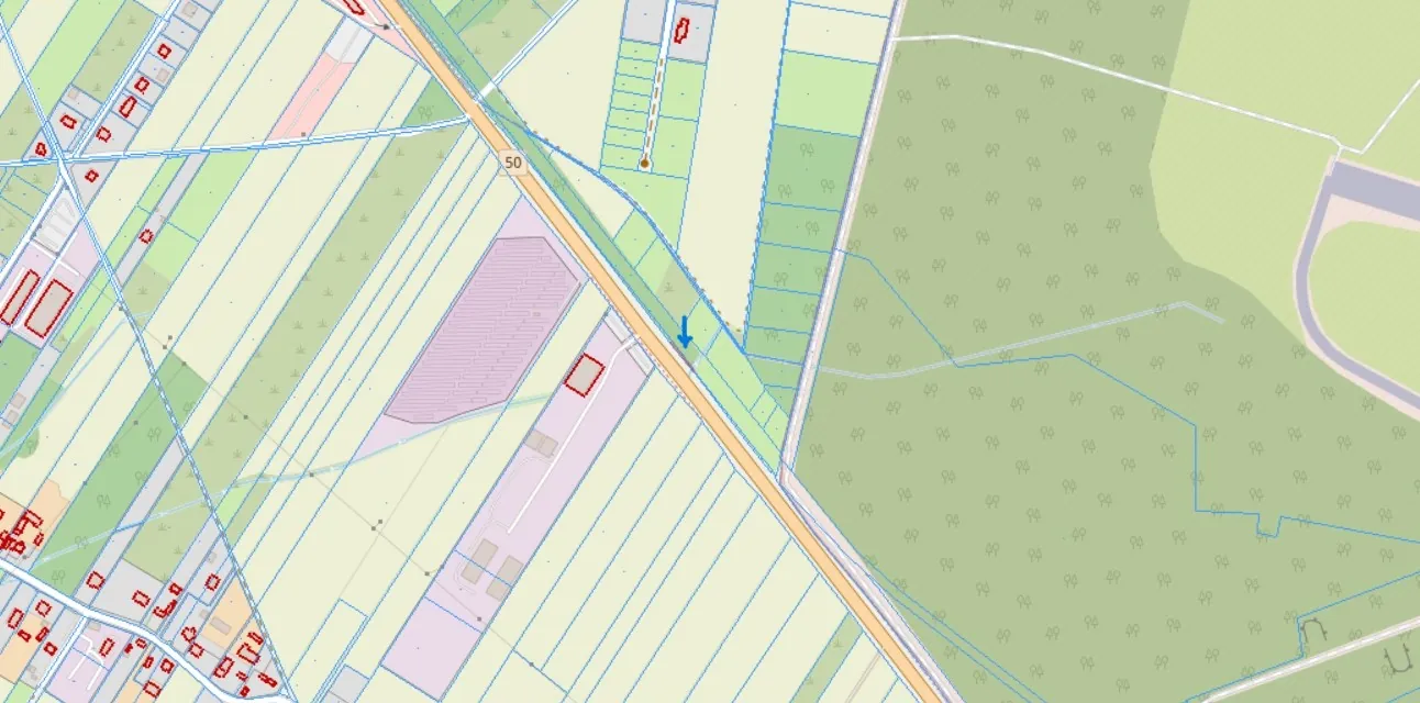Fragment mapy geodezyjnej przedstawiający działki gruntów w różnych kolorach (zielonym, żółtym, fioletowym). Przez obszar przebiega droga oznaczona numerem 50. Na mapie widoczne są granice działek wyznaczone niebieskimi liniami oraz zarysy budynków zaznaczone czerwonymi konturami. W centralnej części znajduje się mała niebieska strzałka wskazująca w dół.