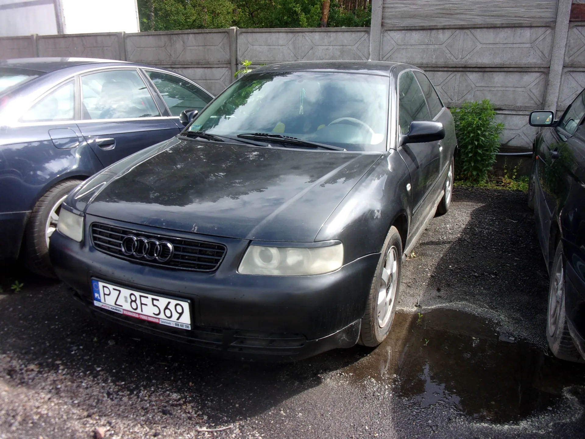 Czarny samochód marki Audi zaparkowany na asfaltowym podjeździe obok innego ciemnego samochodu. Auto posiada polską tablicę rejestracyjną o numerze PZ 8F569. W tle widoczny jest betonowy płot oraz zielone krzewy.