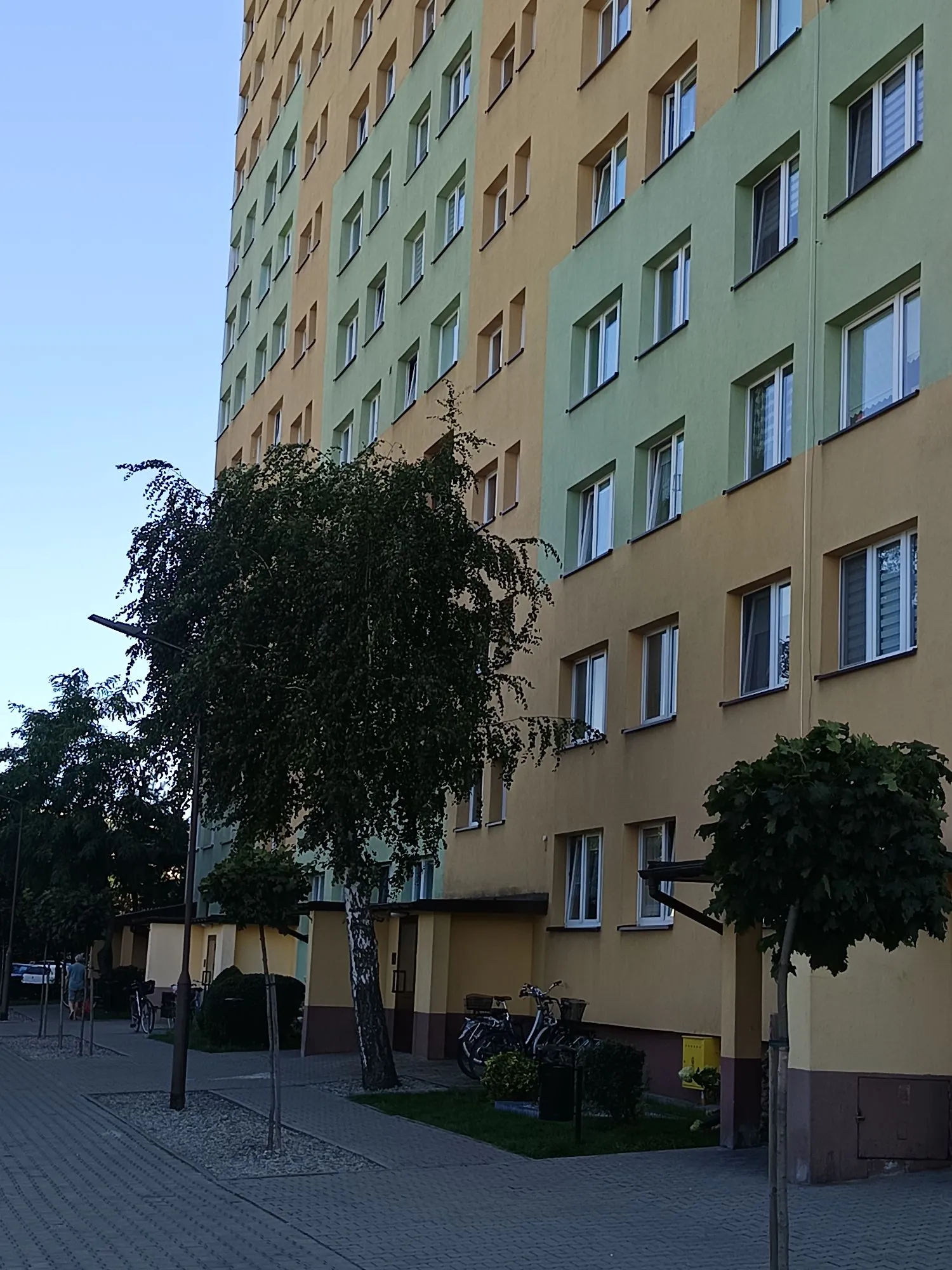 Wielopiętrowy blok mieszkalny z elewacją w kolorach żółtym i jasnozielonym. Przed budynkiem rosną drzewa, w tym jedno duże, rozłożyste drzewo liściaste w centrum kadru. Przy wejściu do budynku zaparkowane są dwa rowery. Przed blokiem znajduje się chodnik z kostki brukowej oraz niewielkie pasy zieleni.