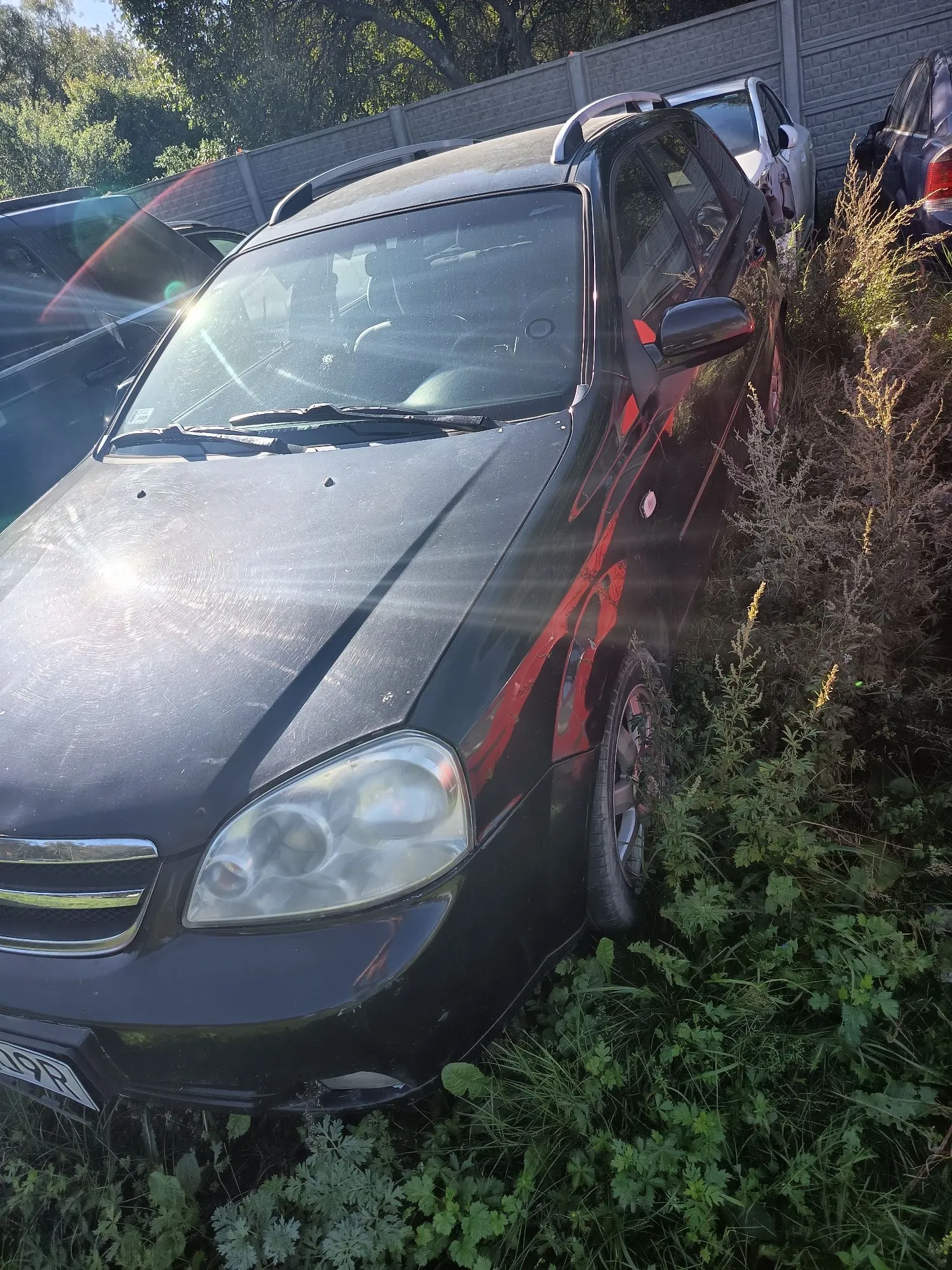 Czarny samochód osobowy typu hatchback, zakurzony i zaparkowany w wysokiej trawie i chwastach. Pojazd jest widoczny z przodu pod kątem, z widoczną maską, reflektorem oraz przednim kołem. W tle widoczne są inne zaparkowane samochody oraz betonowy płot.