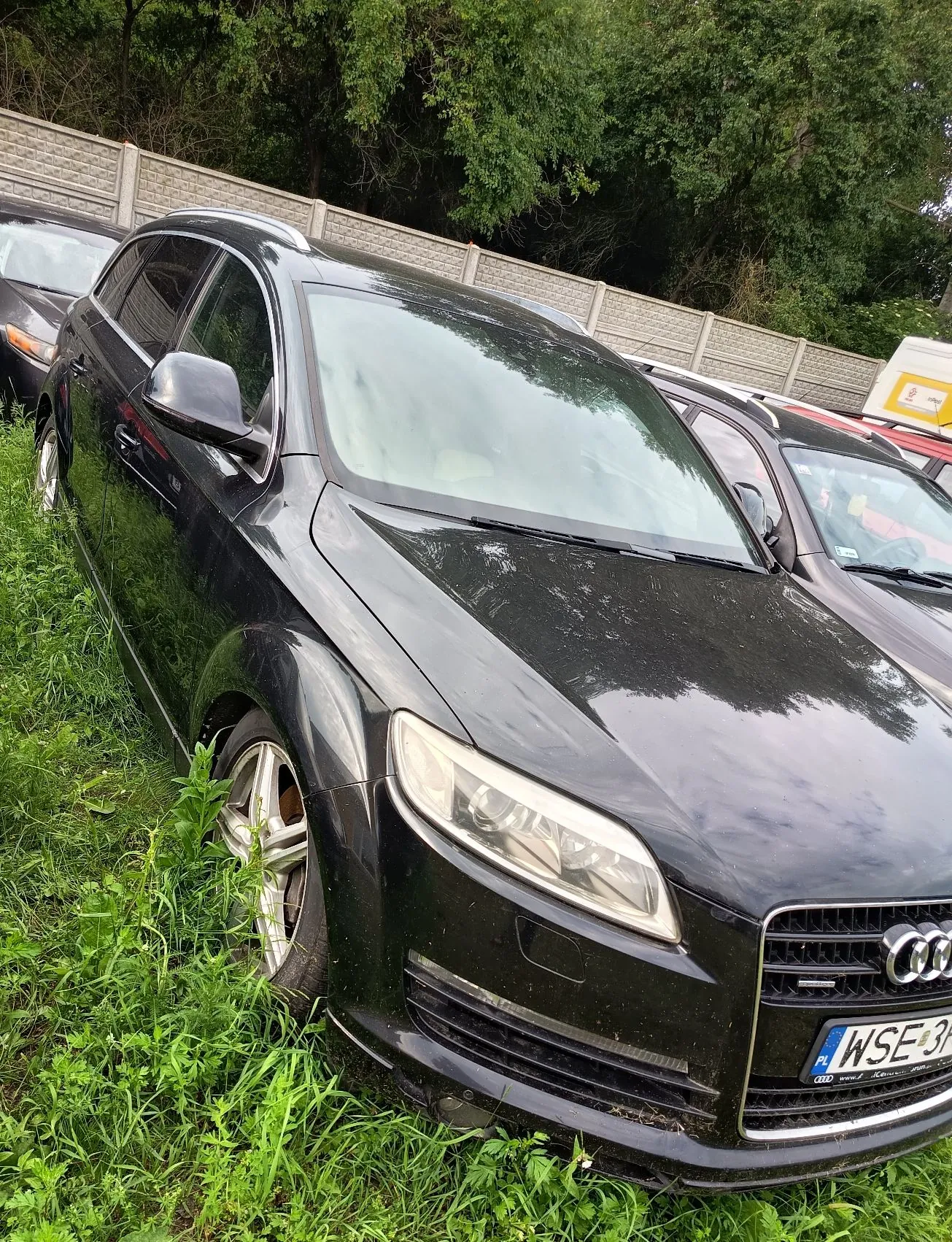 Czarny samochód marki Audi w nadwoziu kombi, zaparkowany na trawie obok innych pojazdów. Auto jest zakurzone, a jego przednia część z reflektorem i grillem z logo Audi znajduje się na pierwszym planie. Widoczna jest fragment tablicy rejestracyjnej o numerze WSE 3. W tle znajduje się betonowy płot oraz gęste, zielone drzewa.