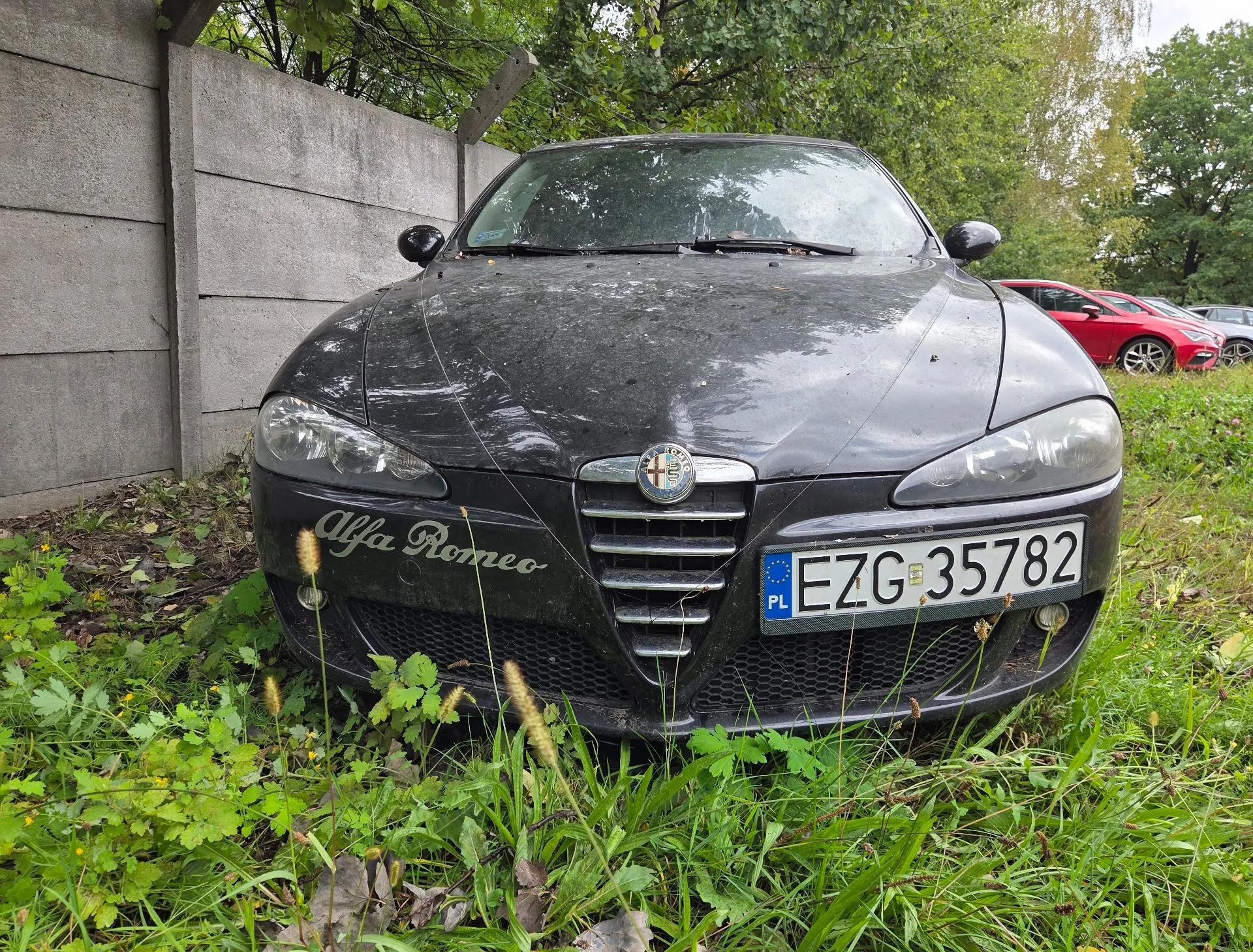 Czarny samochód marki Alfa Romeo zaparkowany w wysokiej trawie obok betonowego ogrodzenia. Pojazd jest zakurzony i brudny. Na masce widnieje napis 'Alfa Romeo', a na przodzie znajduje się polska tablica rejestracyjna o numerze EZG 35782. W tle widoczne są zielone drzewa oraz czerwony samochód.