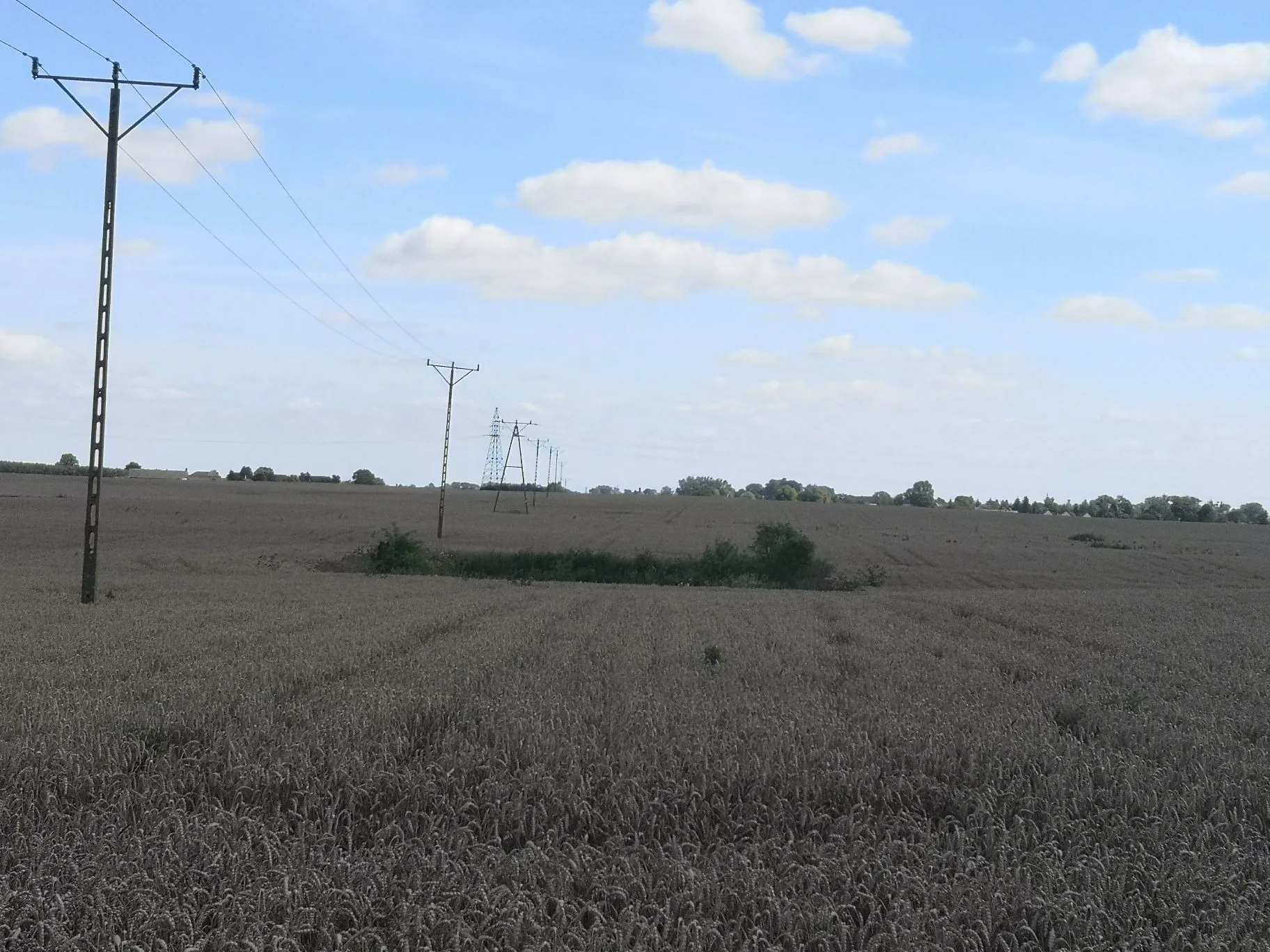 Krajobraz z rozległym polem zboża w kolorze szaro-brązowym pod jasnoniebieskim niebem z białymi chmurami. Po lewej stronie znajduje się betonowy słup energetyczny, a w oddali widać kolejne słupy linii wysokiego napięcia oraz niską linię drzew i zabudowań na horyzoncie.