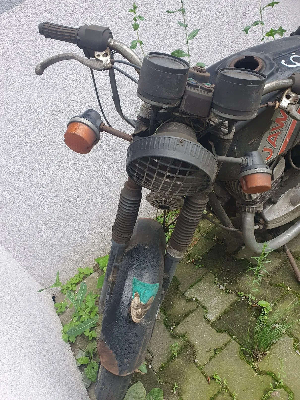 Zbliżenie na przednią część starego motocykla marki Jawa. Widoczna jest kierownica z manetkami, dwa okrągłe zegary, reflektor z czarną kratą ochronną oraz pomarańczowe kierunkowskazy. Przedni widelec posiada gumowe osłony, a nad przednim kołem znajduje się czarny błotnik z zamontowaną ozdobną figurką głowy zwierzęcia w kolorze turkusowym. Motocykl stoi na kostce brukowej porośniętej trawą, na tle białej ściany.