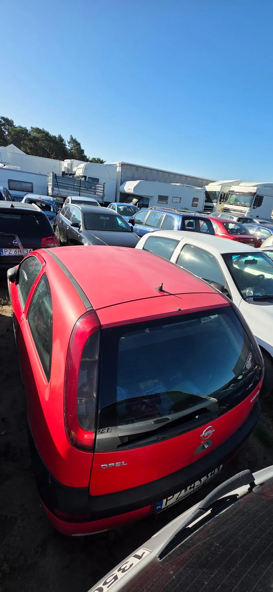 Zdjęcie przedstawiające parking z wieloma samochodami i kamperami. Na pierwszym planie znajduje się tył czerwonego samochodu marki Opel. Za nim zaparkowane są inne pojazdy, w tym srebrny samochód oraz niebieski i czerwony samochód osobowy. W tle widoczne są białe kampery i przyczepy kempingowe na tle linii drzew i bezchmurnego, niebieskiego nieba.