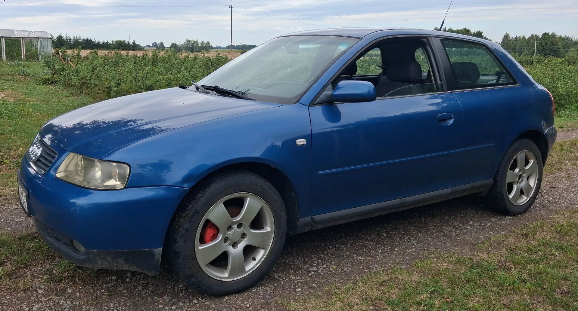 Niebieski samochód osobowy marki Audi zaparkowany na żwirowej drodze. Pojazd jest ustawiony pod kątem, widoczny z przodu i z boku. W tle znajduje się zielone pole z roślinnością oraz szklarnia po lewej stronie pod jasnym, lekko zachmurzonym niebem.