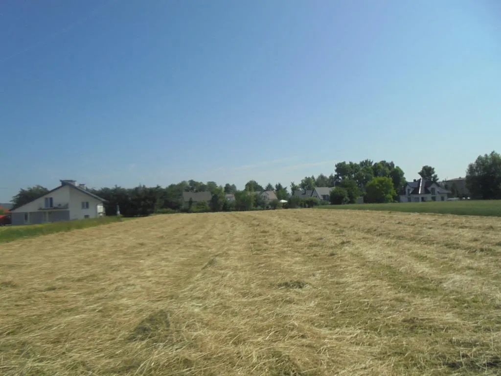 Pole z suchą trawą lub pożniwami na pierwszym planie, w tle domy jednorodzinne z dachami, drzewa i jasne niebo bez chmur. Horyzont jest poziomy, budynki i drzewa są pionowo ustawione.