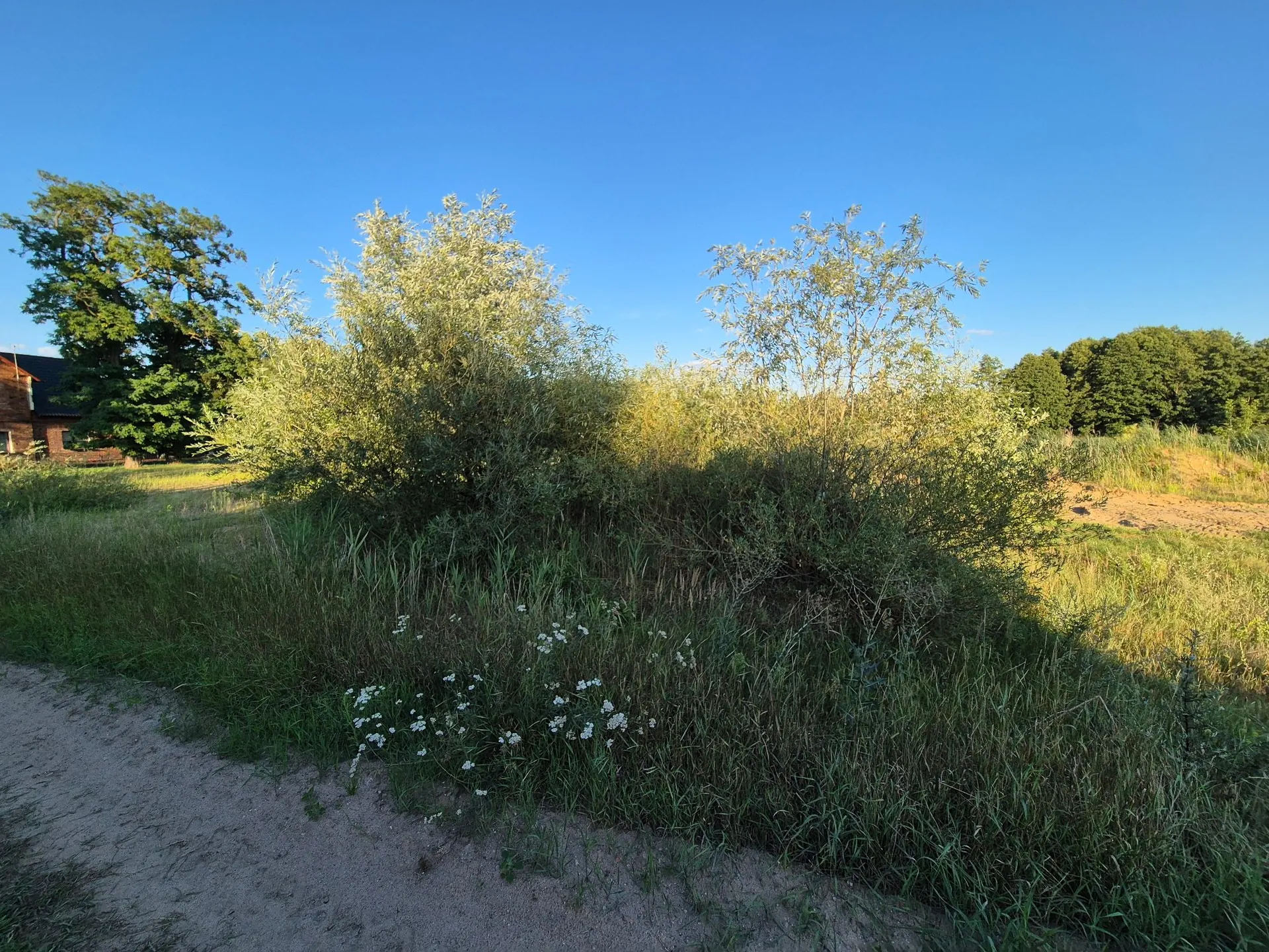 Grunt 2190 m² Sądzia - Licytacja w Lesznie - zdjęcie 3