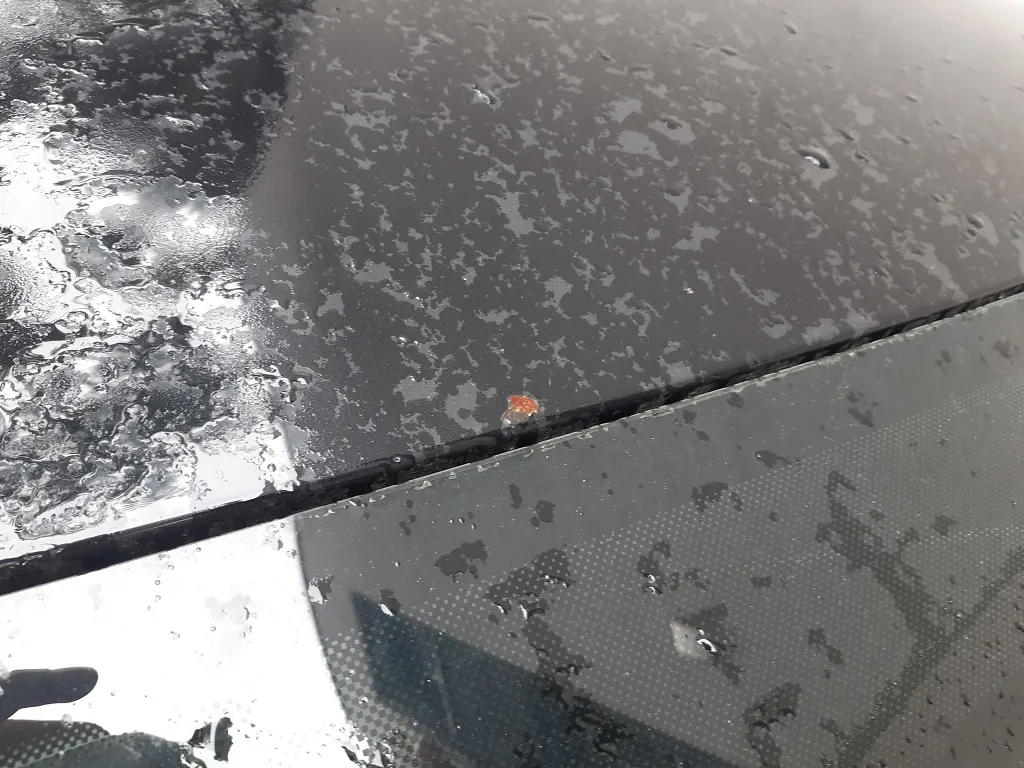 Zbliżenie na czarną, lakierowaną powierzchnię samochodu pokrytą kroplami wody i zaciekami. W centralnej części widoczny jest niewielki, pomarańczowy odprysk lakieru, odsłaniający podkład. Powierzchnia jest podzielona na dwie sekcje przez cienką szczelinę biegnącą ukośnie przez obraz.