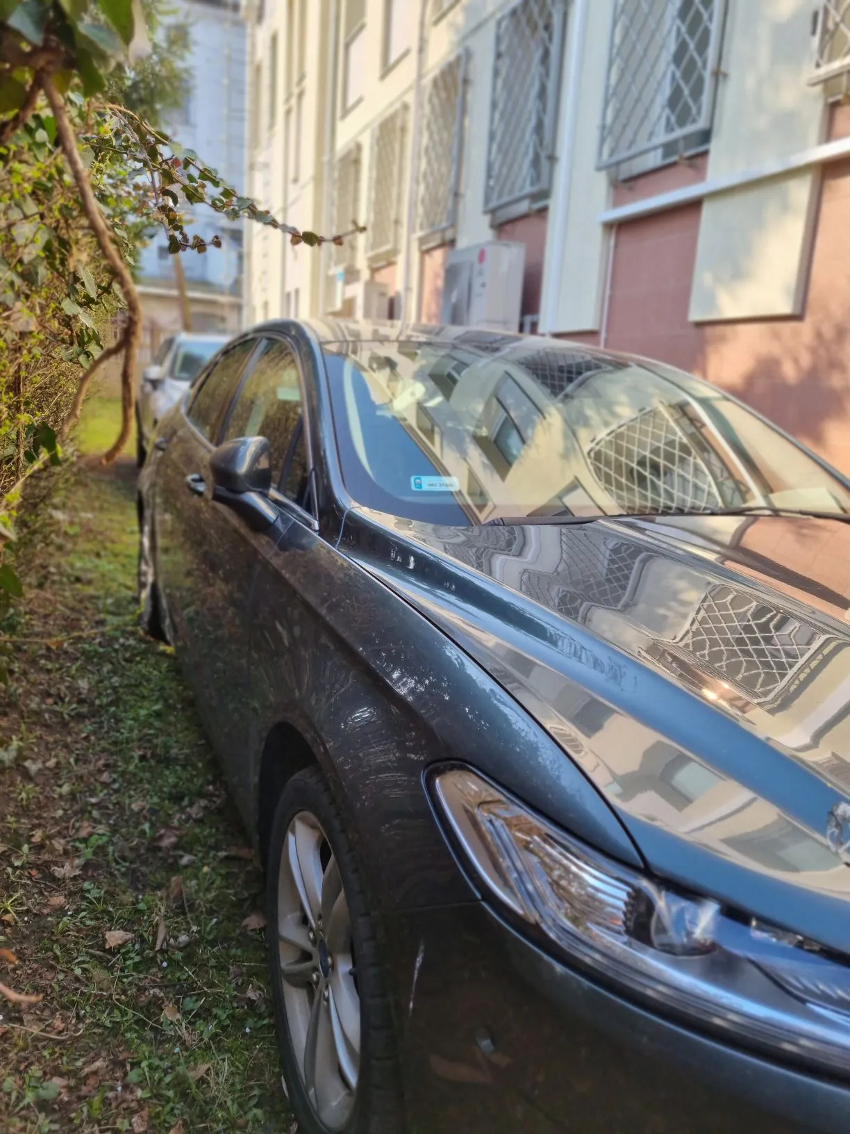 Przód ciemnego samochodu zaparkowanego na trawie, z widocznym reflektorem i częścią maski. W tle budynek z oknami z metalowymi kratami i klimatyzatorami. Na pierwszym planie roślinność z suchymi liśćmi.