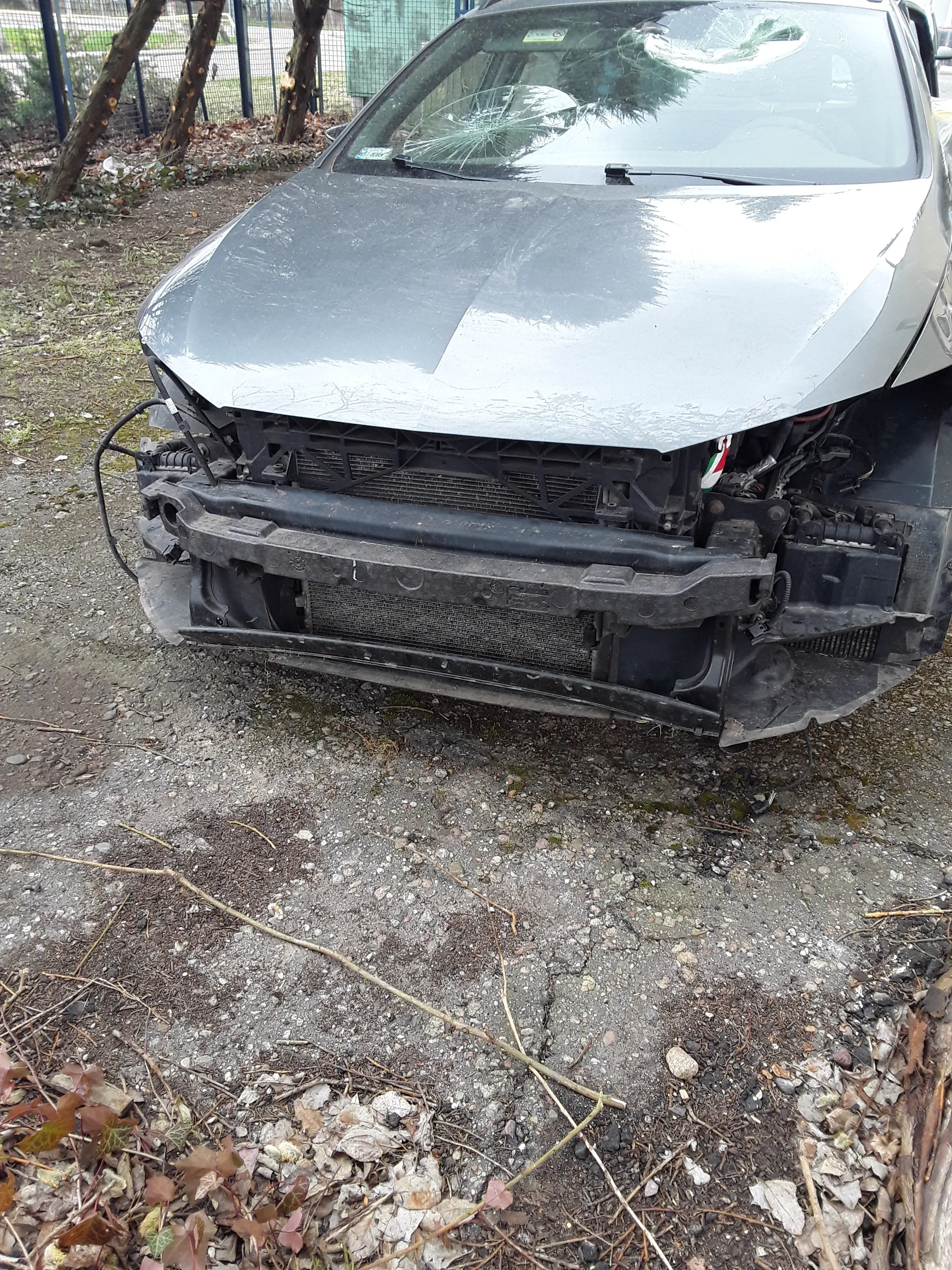 Uszkodzony samochód z otwartą maską, odsłoniętym silnikiem i chłodnikiem. Przednia szyba jest pęknięta. Samochód stoi na podłożu z żwirem, liśćmi i gałęziami. W tle widoczne są drzewa i siatka.