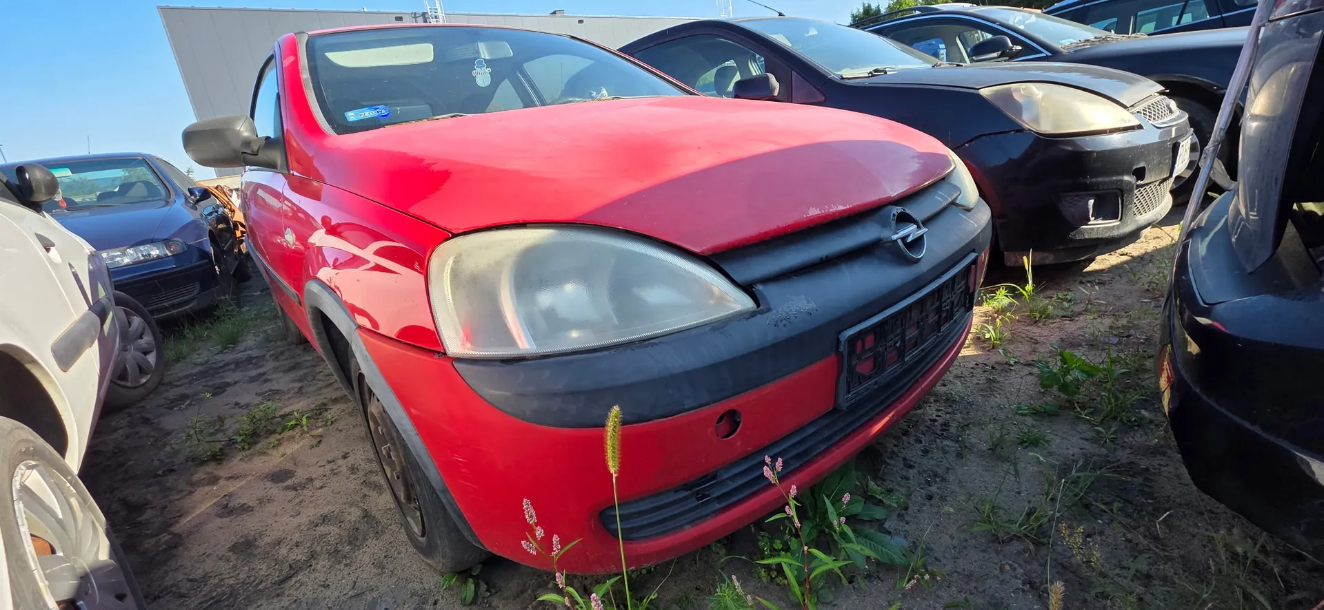 Czerwony samochód osobowy marki Opel zaparkowany na trawiastym placu obok innych pojazdów. Samochód ma uszkodzony przedni zderzak, w którym brakuje tablicy rejestracyjnej, oraz zmatowione reflektory. Po prawej stronie widoczny jest czarny samochód, a po lewej niebieski i biały pojazd.