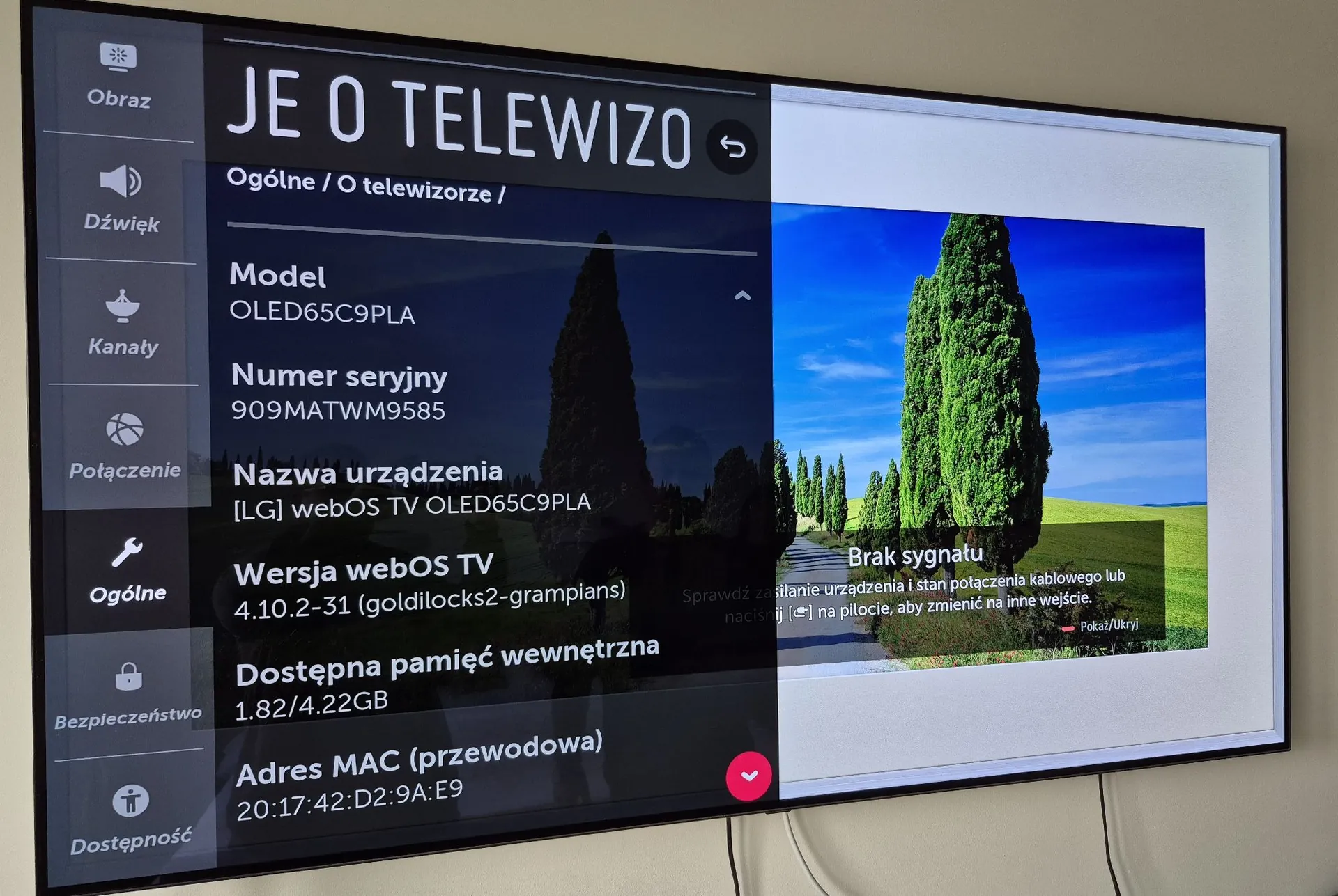 Zdjęcie ekranu telewizora wyświetlającego menu ustawień w języku polskim. W górnej części widnieje napis 'JE O TELEWIZO'. W sekcji 'Ogólne / O telewizorze /' znajdują się następujące informacje: Model: OLED65C9PLA, Numer seryjny: 909MATWM9585, Nazwa urządzenia: [LG] webOS TV OLED65C9PLA, Wersja webOS TV: 4.10.2-31 (goldilocks2-gramplans), Dostępna pamięć wewnętrzna: 1.82/4.22GB, Adres MAC (przewodowa): 20:17:42:D2:9A:E9. Po lewej stronie znajduje się pionowy pasek menu z ikonami: Obraz, Dźwięk, Kanały, Połączenie, Ogólne, Bezpieczeństwo, Dostępność. Po prawej stronie ekranu widoczny jest obraz krajobrazu z wysokimi cyprysami na tle niebieskiego nieba, z nałożonym komunikatem 'Brak sygnału. Sprawdź zasilanie urządzenia i stan połączenia kablowego lub naciśnij [input] na pilocie, aby zmienić na inne wejście'.