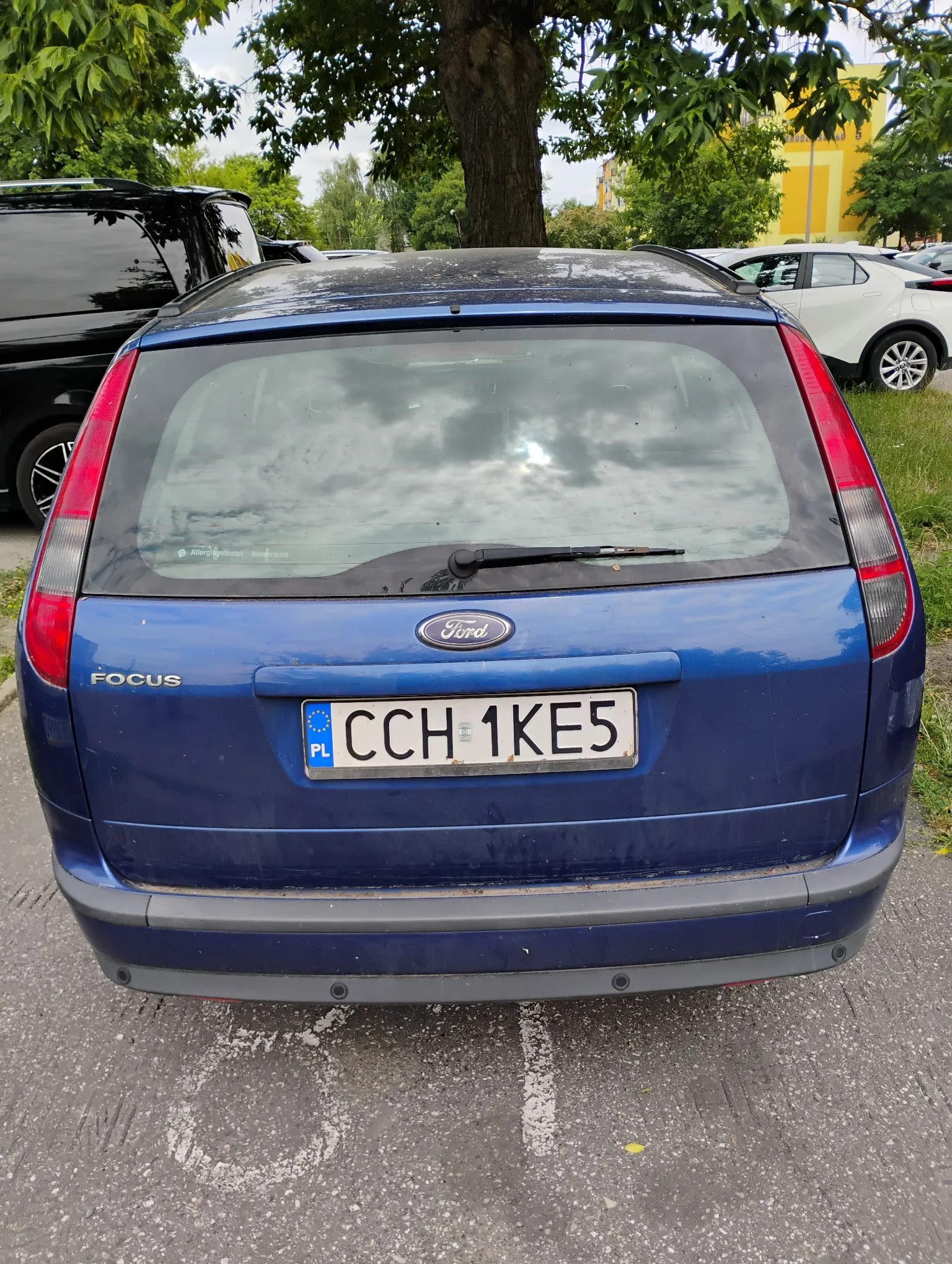 Niebieski samochód marki Ford Focus widziany od tyłu. Na klapie bagażnika znajduje się logo Ford oraz tablica rejestracyjna o numerze CCH 1KE5 z oznaczeniem PL. Samochód zaparkowany jest na asfaltowej nawierzchni obok innego, białego pojazdu i drzewa.
