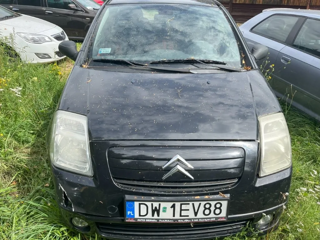 Zdjęcie przodu czarnego samochodu marki Citroën, zaparkowanego na trawie. Samochód jest brudny, na masce i przedniej szybie widoczne są drobne zanieczyszczenia i liście. Pojazd posiada polską tablicę rejestracyjną o numerze DW 1EV88. Po lewej stronie widoczny jest fragment białego samochodu, a po prawej fragment szarego samochodu.