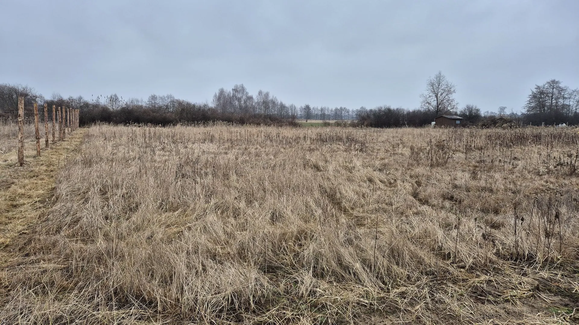 Krajobraz jesienno-zimowy przedstawiający otwarte pole z wyschniętą, żółto-brązową trawą. Po lewej stronie znajduje się rząd drewnianych pali wbitych w ziemię. W tle widoczna jest linia bezlistnych drzew i krzewów pod zachmurzonym, szarym niebem. Po prawej stronie w oddali widoczny jest mały, drewniany budynek gospodarczy.