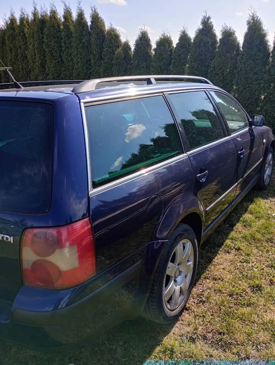 Ciemnoniebieski samochód typu kombi zaparkowany na trawie. Widoczne są tylne światła, dach z przenośnikiem, a na tylnej szybie odbicie chmur. W tle rzęd wysokich, zielonych drzew iglastych i niebo z kilkoma chmurami. Na tylnej części pojazdu widnieje napis TDI. Trawa na podwórku jest częściowo sucha, częściowo zielona.