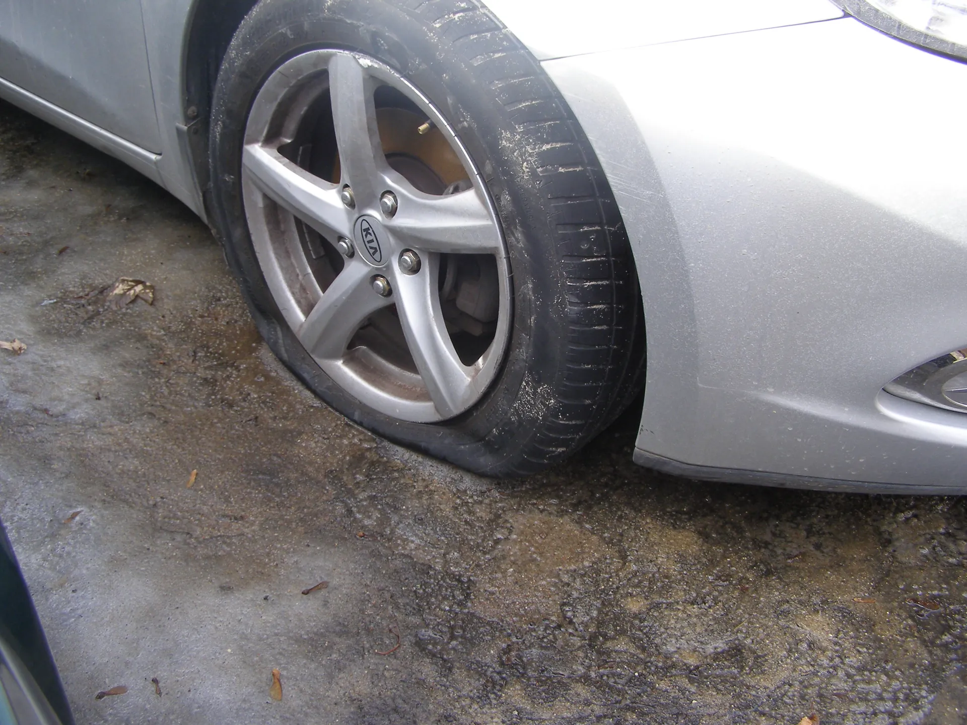 Zbliżenie na przednie lewe koło srebrnego samochodu marki Kia. Widoczna felga aluminiowa z logo Kia w środku, brudna opona oraz fragment nadwozia. Pod samochodem betonowa powierzchnia z rozsypanymi suchymi liśćmi i plamami wilgoci.