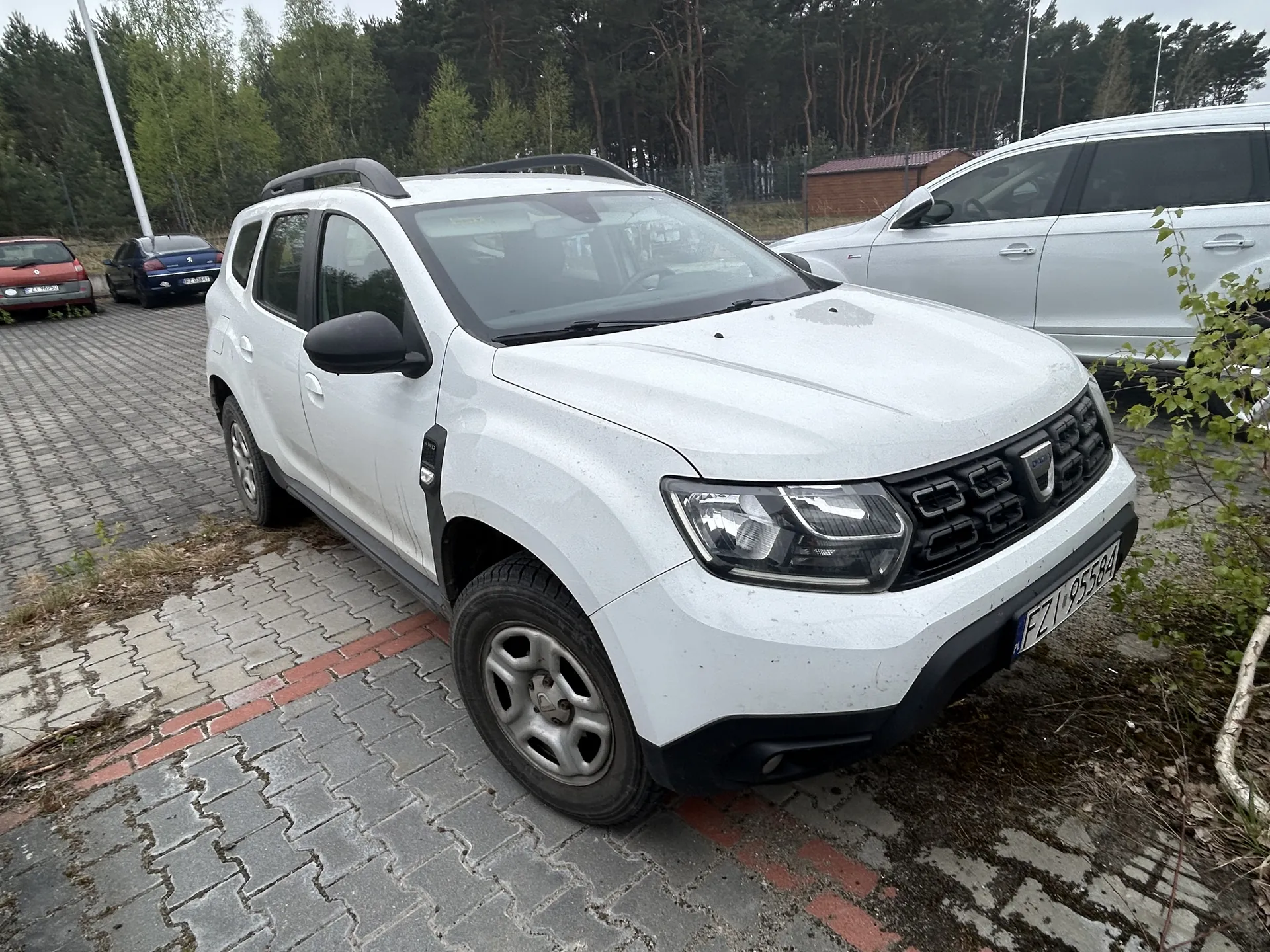 Biały samochód typu SUV marki Dacia zaparkowany na placu z kostki brukowej. Widoczna tablica rejestracyjna FZ195584. W tle inne pojazdy: czerwony i niebieski samochód oraz srebrny SUV. Tło stanowią drzewa, niewielki budynek i słup. Na pierwszym planie fragment ziemi z suchą trawą i krzakiem.