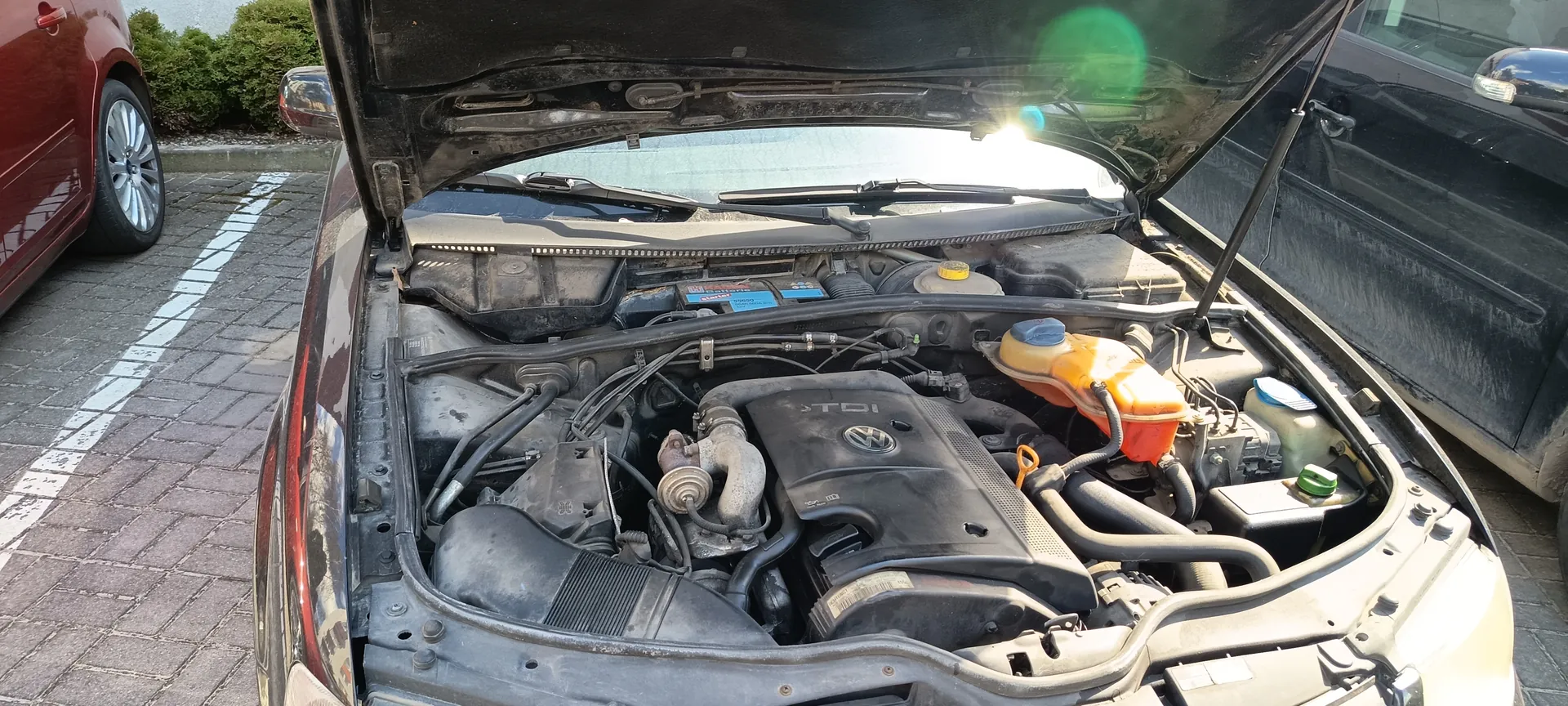 Samochód z otwartą maską ukazujący silnik z widocznym logo Volkswagen i napisem TDI. W silniku widoczne są elementy takie jak pomarańczowy zbiornik chłodniczy, czarne przewody i różne komponenty. Po lewej stronie czerwony samochód, po prawej ciemny samochód. Tło stanowi brukowana powierzchnia z białymi liniami parkingu oraz zielone krzewy.