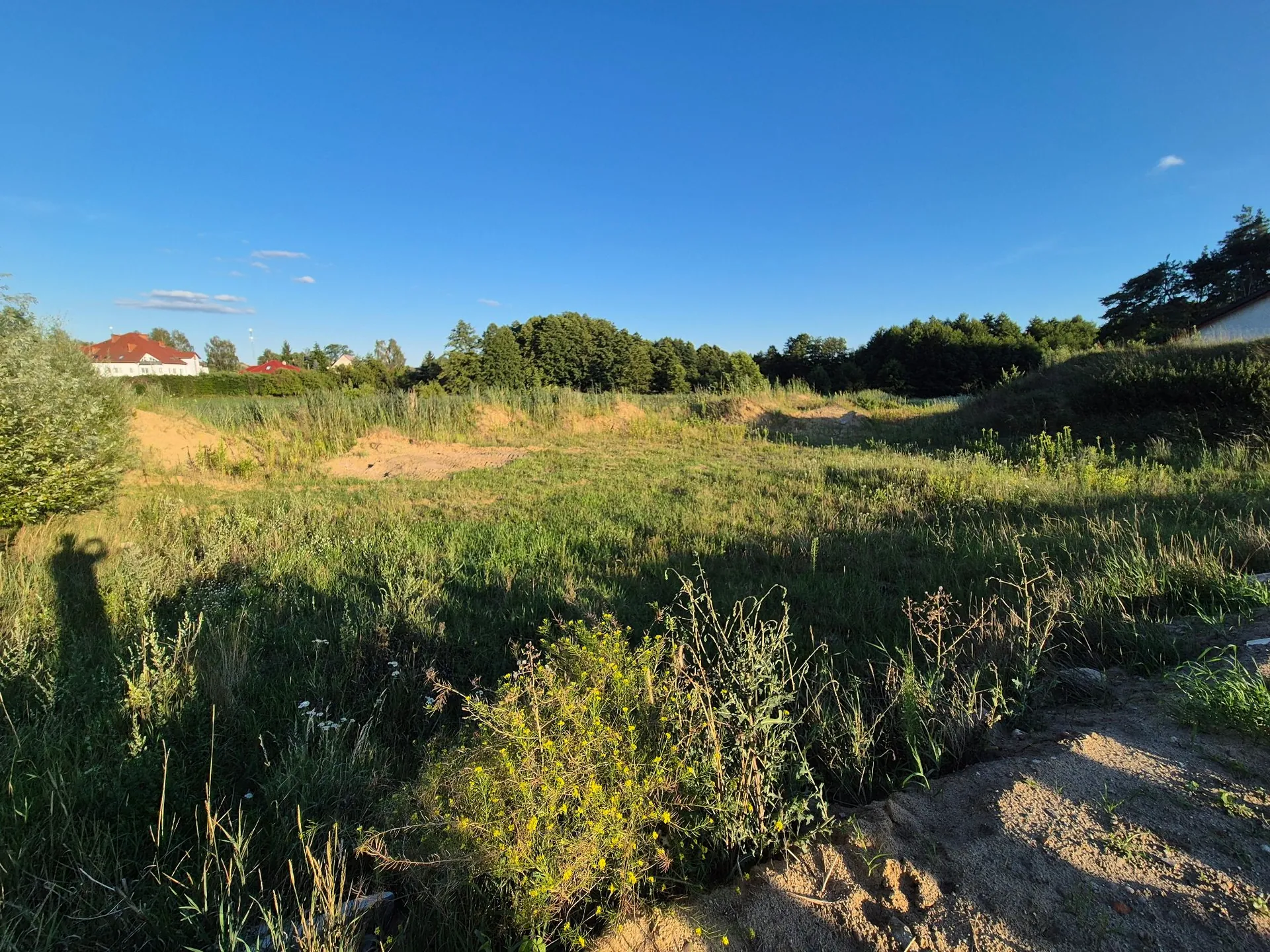Grunt 2190 m² Sądzia - Licytacja w Lesznie - zdjęcie 2