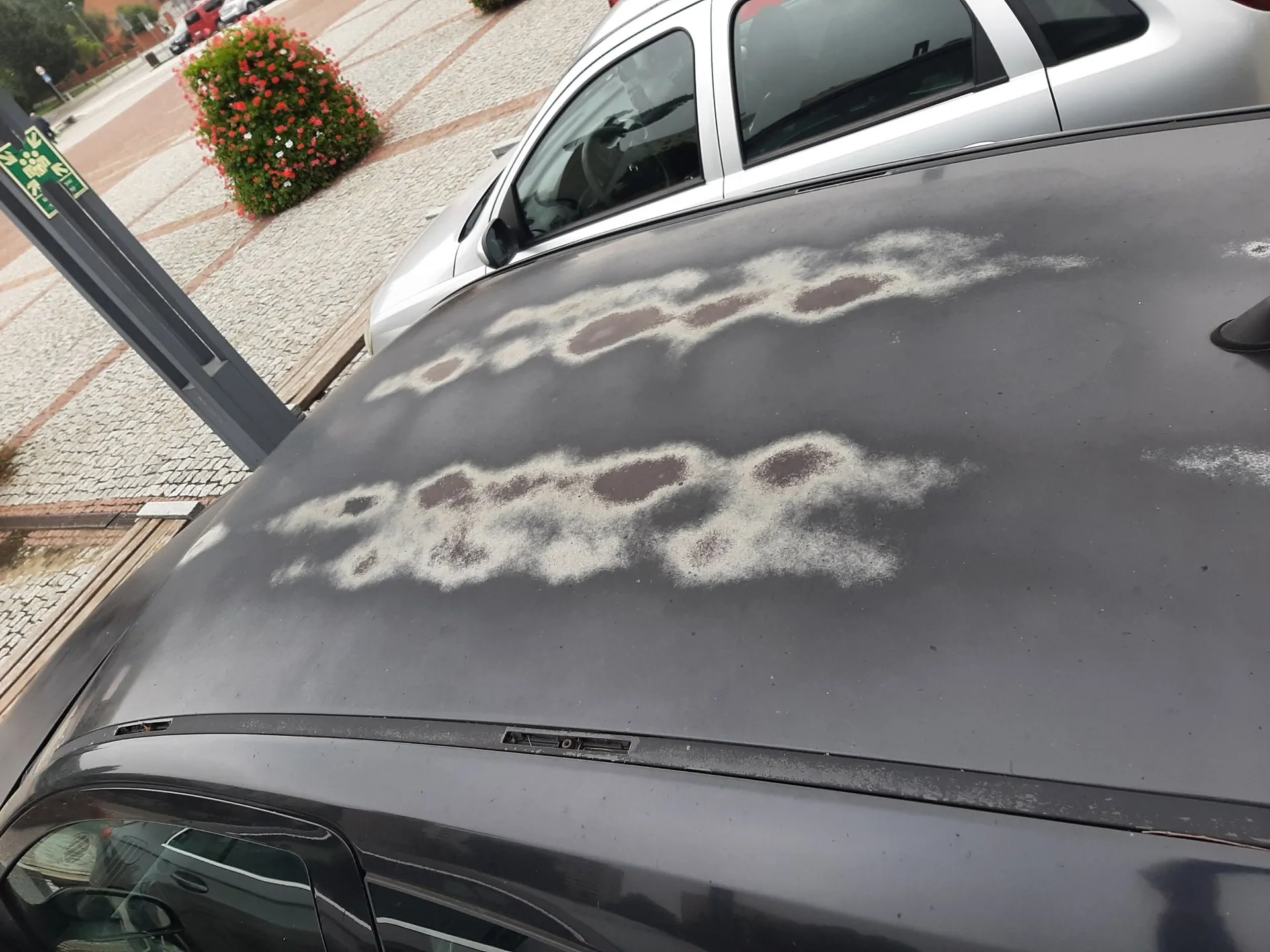 Zbliżenie na dach czarnego samochodu z widocznymi uszkodzeniami lakieru w postaci dużych, nieregularnych, jasnych plam i przetarć. W tle widoczny jest fragment srebrnego samochodu, chodnik z kostki brukowej oraz krzew z czerwonymi kwiatami.