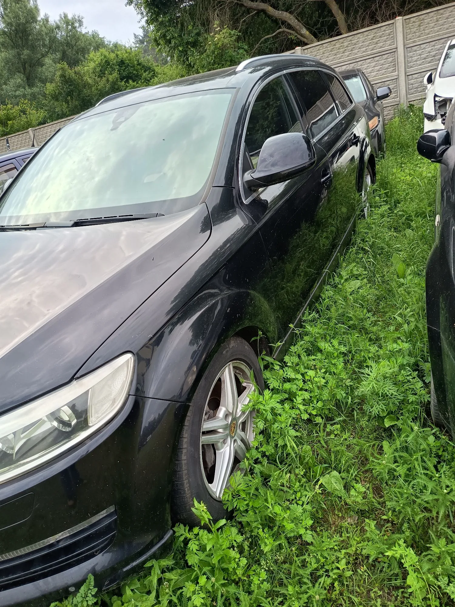 Czarny samochód typu kombi zaparkowany na wysokiej, zielonej trawie. Zdjęcie przedstawia przód i bok pojazdu pod kątem, widoczna jest przednia lewa opona z felgą aluminiową oraz reflektor. W tle widać fragmenty innych samochodów oraz betonowy płot i drzewa.