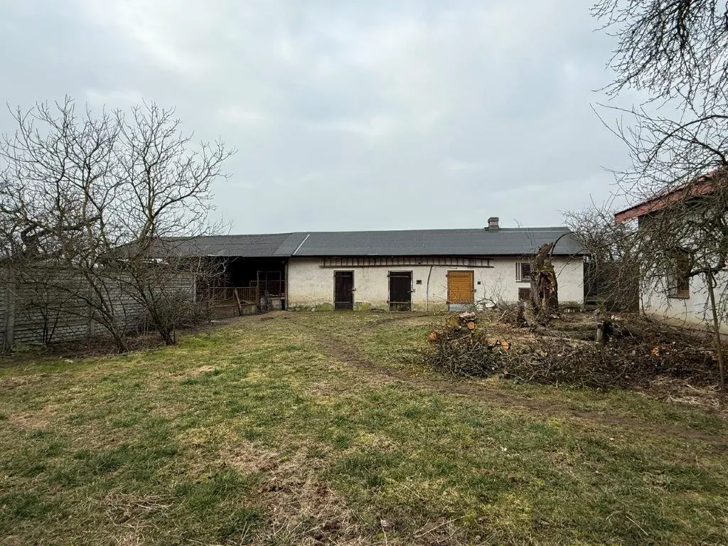 Zdjęcie przedstawiające długi, parterowy budynek gospodarczy z białymi ścianami i ciemnym dachem. Budynek posiada kilka drzwi oraz okna. Po lewej stronie znajduje się otwarta wiata lub stajnia. Przed budynkiem rozciąga się trawiasty plac z widoczną ścieżką, a po prawej stronie widać stertę gałęzi i krzewów. W tle oraz po bokach znajdują się bezlistne drzewa pod zachmurzonym niebem.
