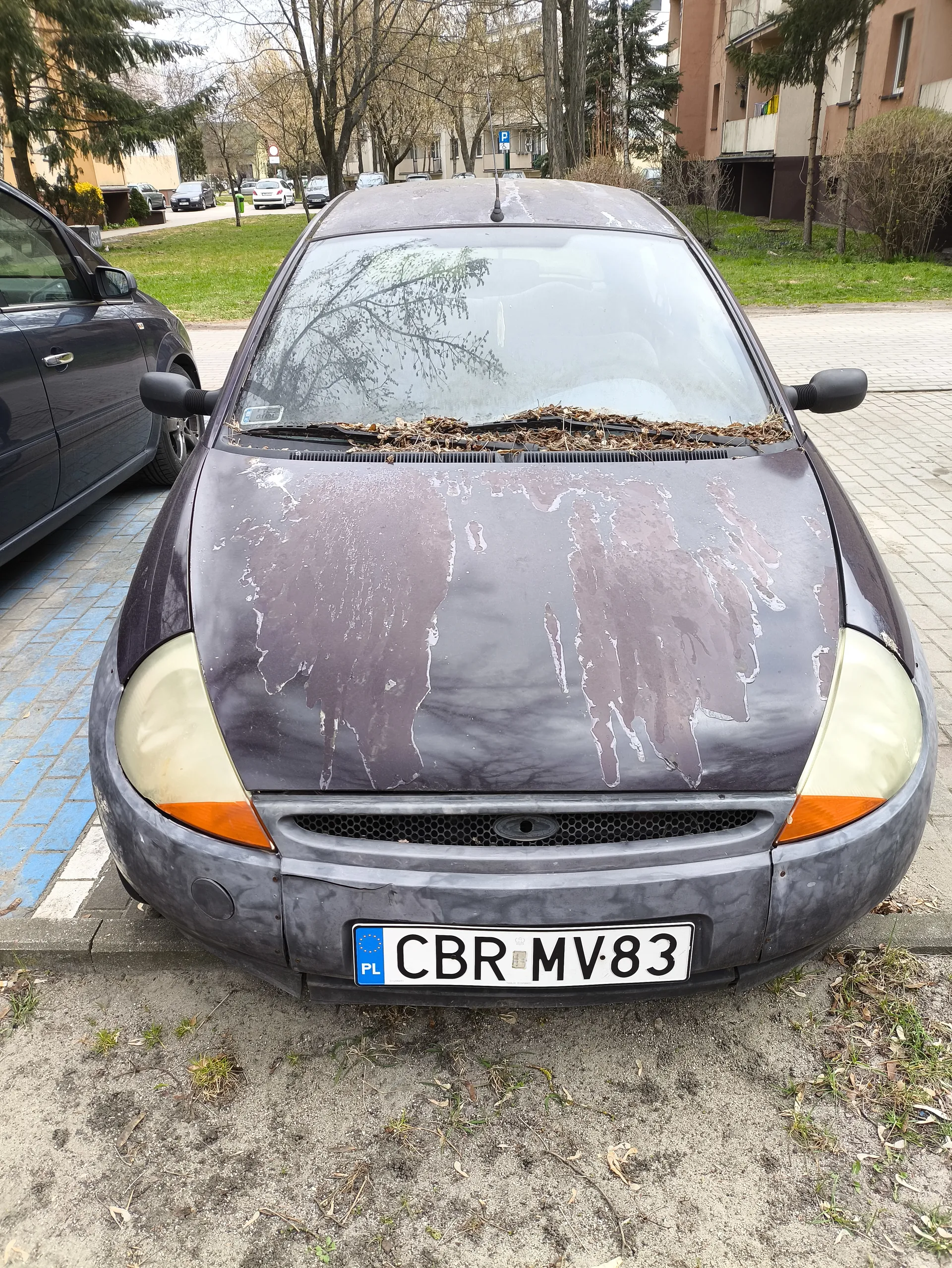 Przedni widok zniszczonego samochodu osobowego z obłupioną farbą na masce. Na przedniej szybie leżą suche liście. Tablica rejestracyjna z polskim kodem PL i numerem CBR MV83. Samochód zaparkowany na chodniku z błękitnymi płytkami, obok inny ciemny pojazd. W tle budynki mieszkalne, drzewa i ulica z innymi samochodami. Ziemia przed pojazdem pokryta suchą trawą i liśćmi.